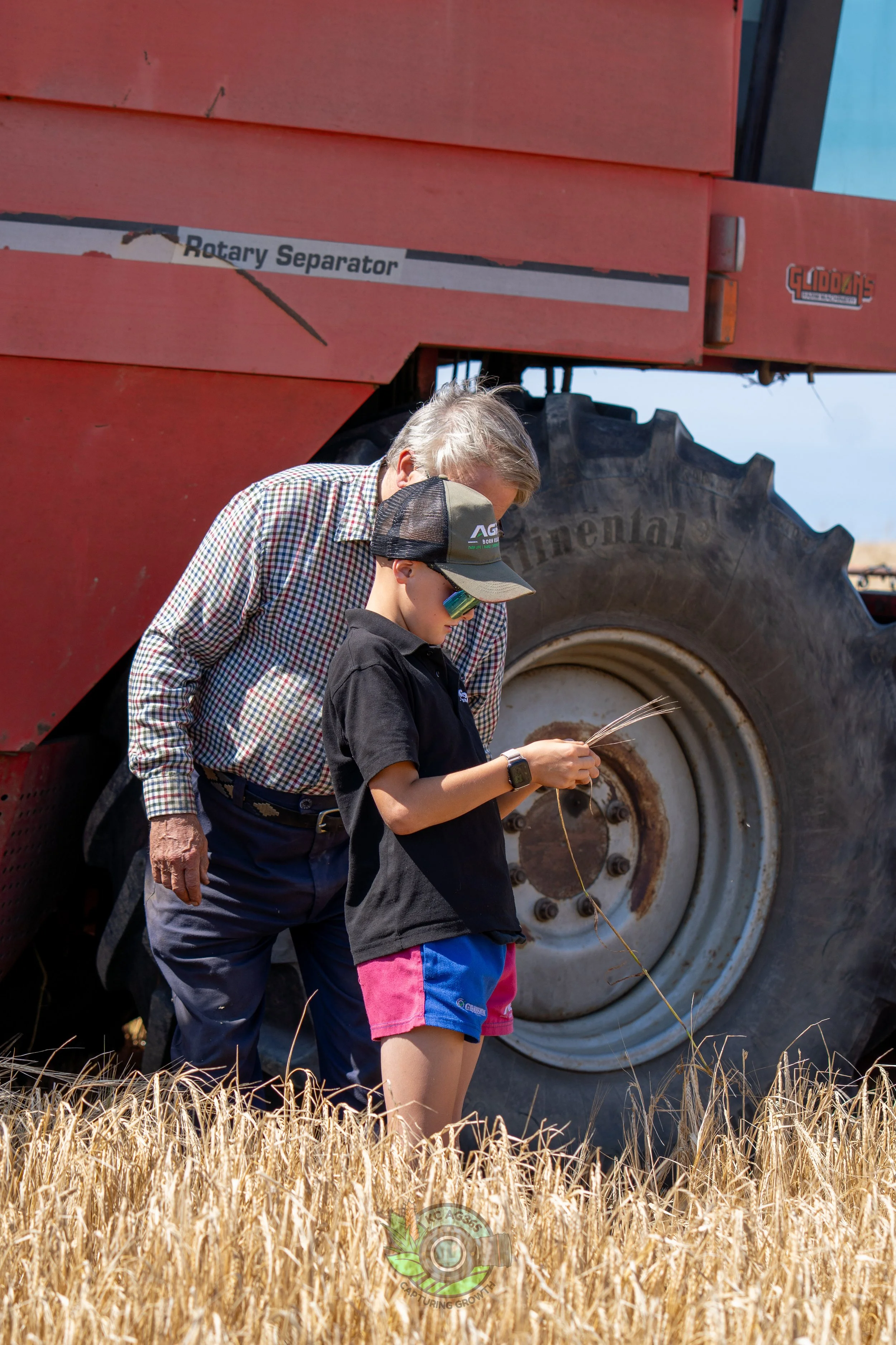 In the field with grandad learning about harvest
