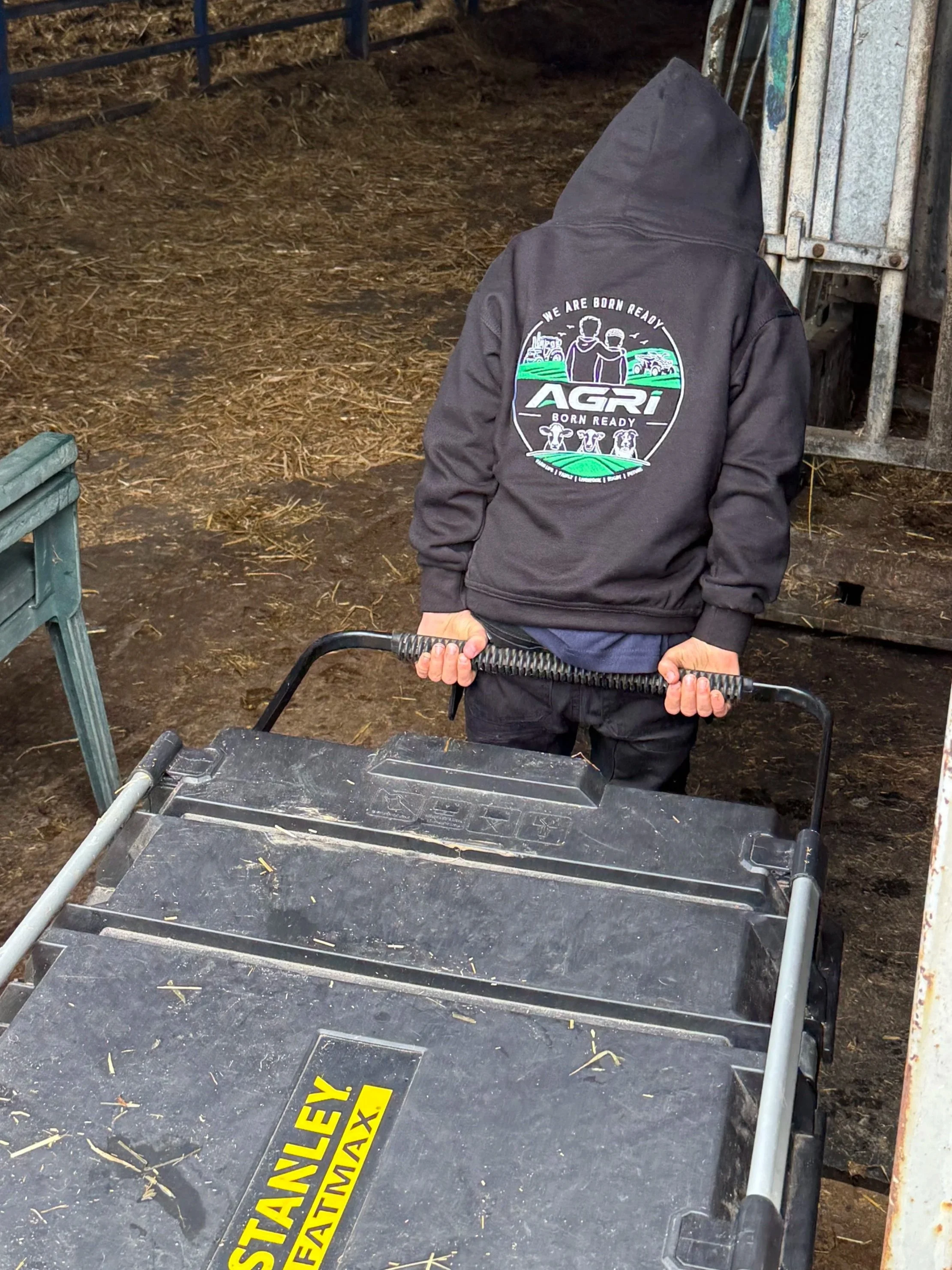 Working in Limited Edition Hoodie