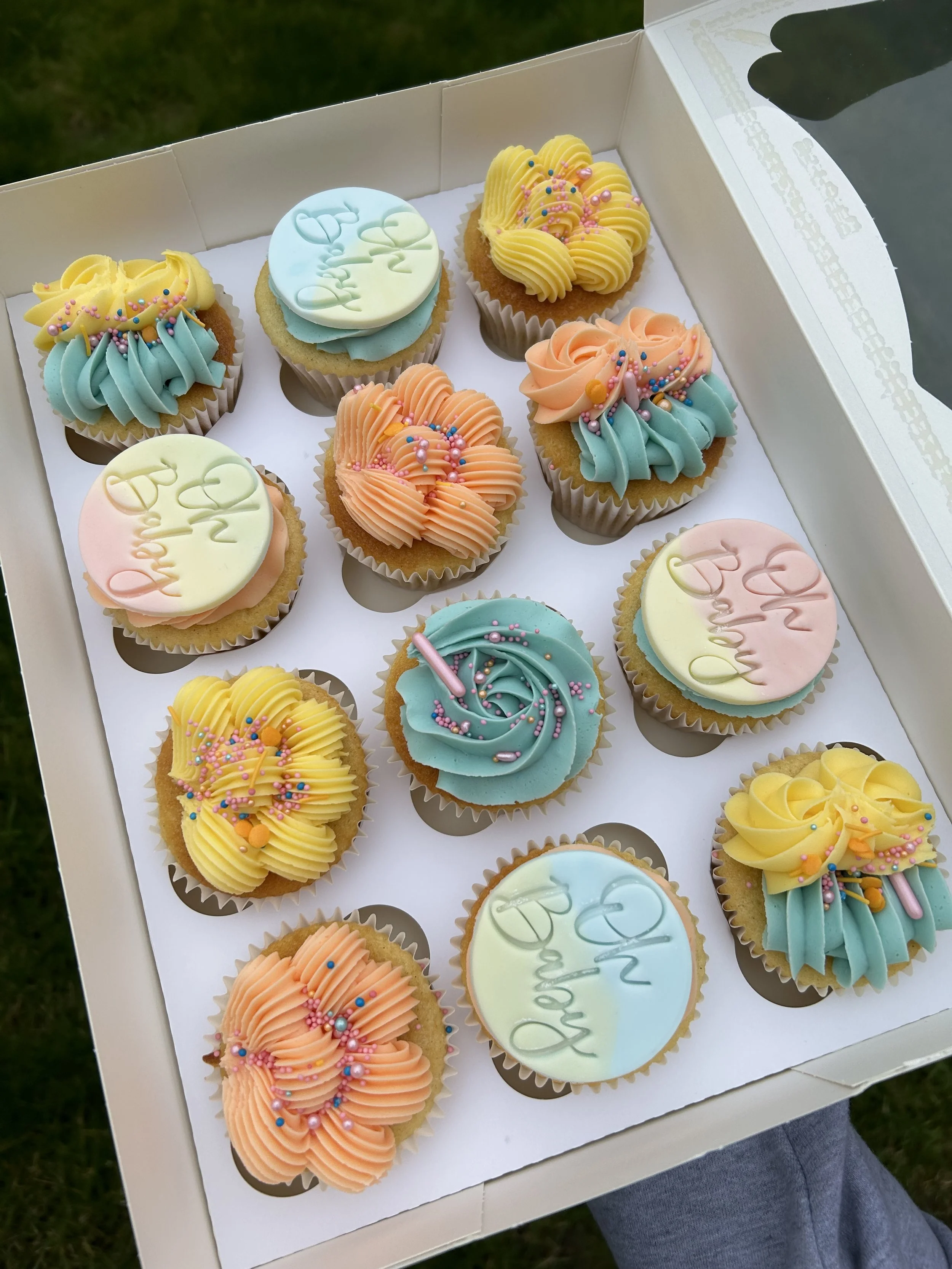 A person holding a white box filled with decorated cupcakes in pastel colors including pink, yellow, blue, and peach, with colorful sprinkles on top, over a grassy background.