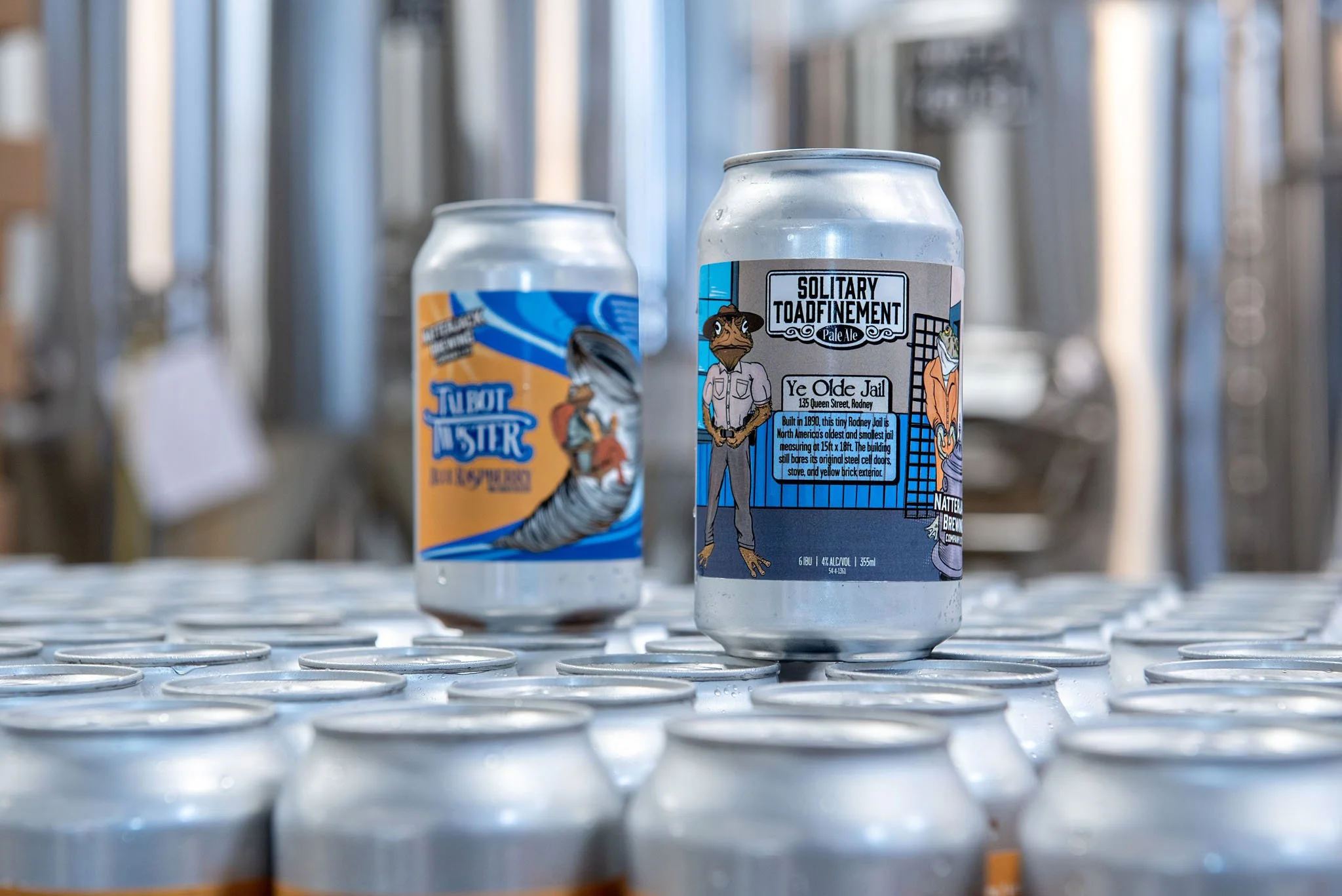 Two cans of beer on a metal surface, with a blurred background of other cans, one labeled "Solitary Toafinement" with cartoon characters and another with a blue and orange design.