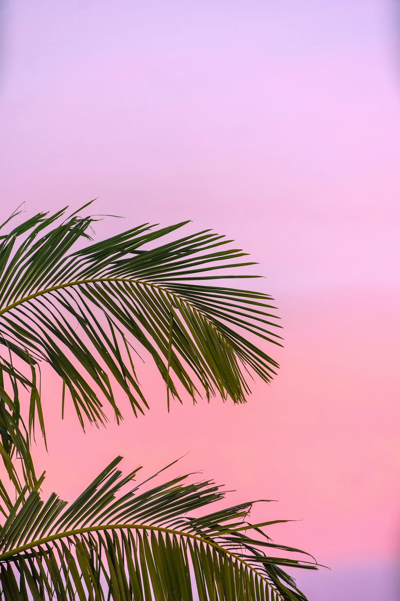 Making The Most Of Summer — 10 Day Summer Program