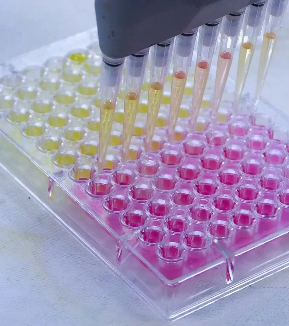 Laboratory pipette dispensing yellow and pink liquids into test tubes arranged in a rack.