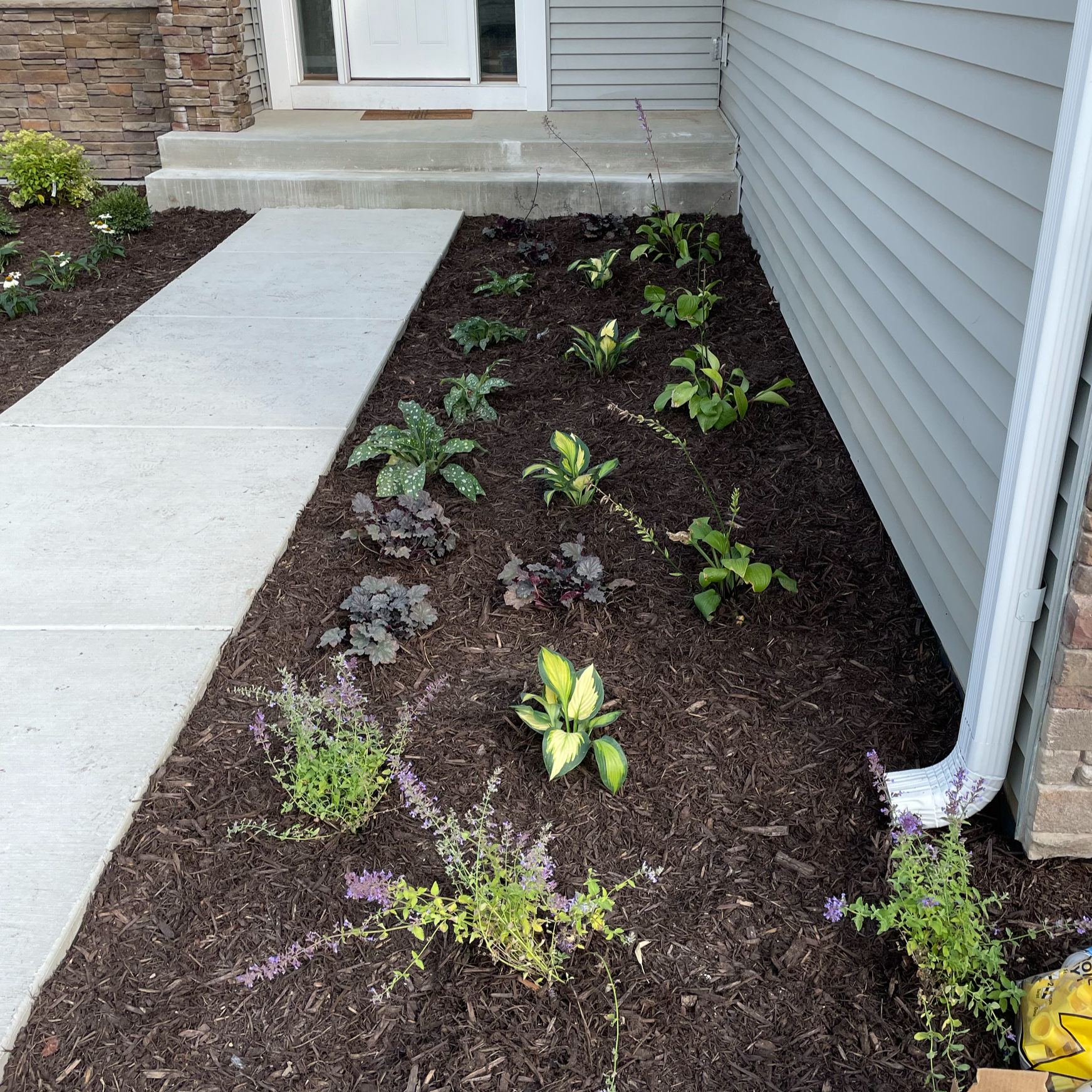 A landscaped garden bed with flowering plants, and mulch. The perfect touch for a new home.