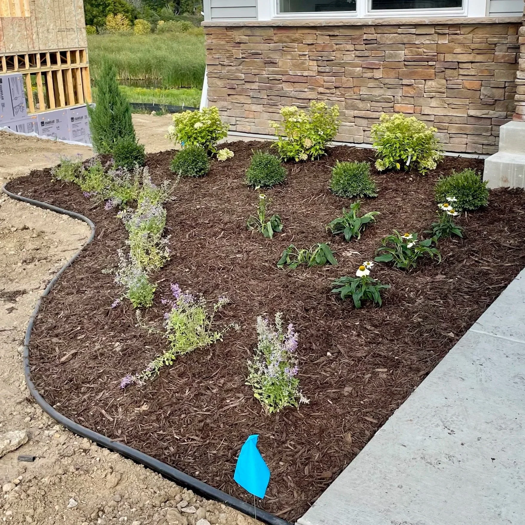 Garden with new landscaping featuring mulch and plants along a house wall with stone siding and a pathway.