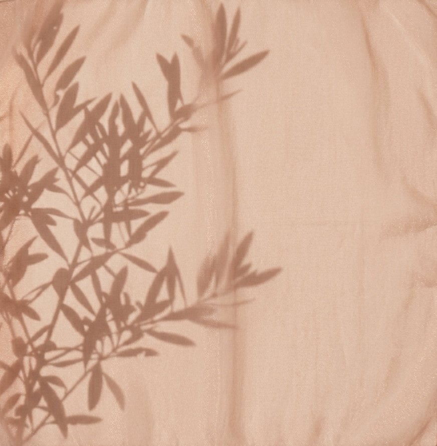 Ombre d'une branche d'olivier sur un mur terracotta lumineux, évoquant la régulation du corps et la sécurité intérieure — Kasia Sakowicz, Paris.