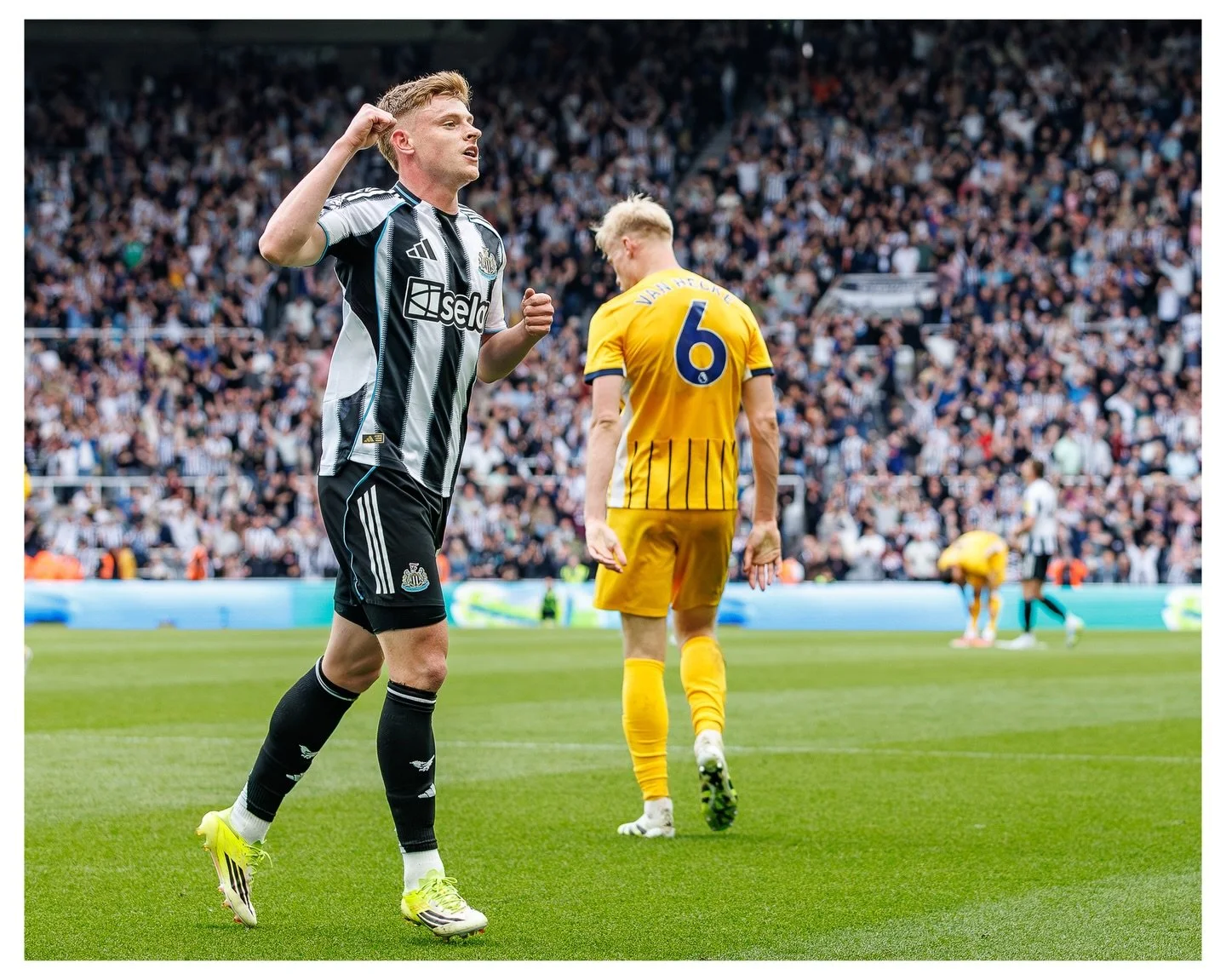 A stoppage time Harvey Barnes strike seals a nervy for Newcastle at St Jame&rsquo;s Park.

Brighton were 2-0 down at half time but looked like getting back into the game in second half before Barnes finished the job to get Newcastle back to winning w