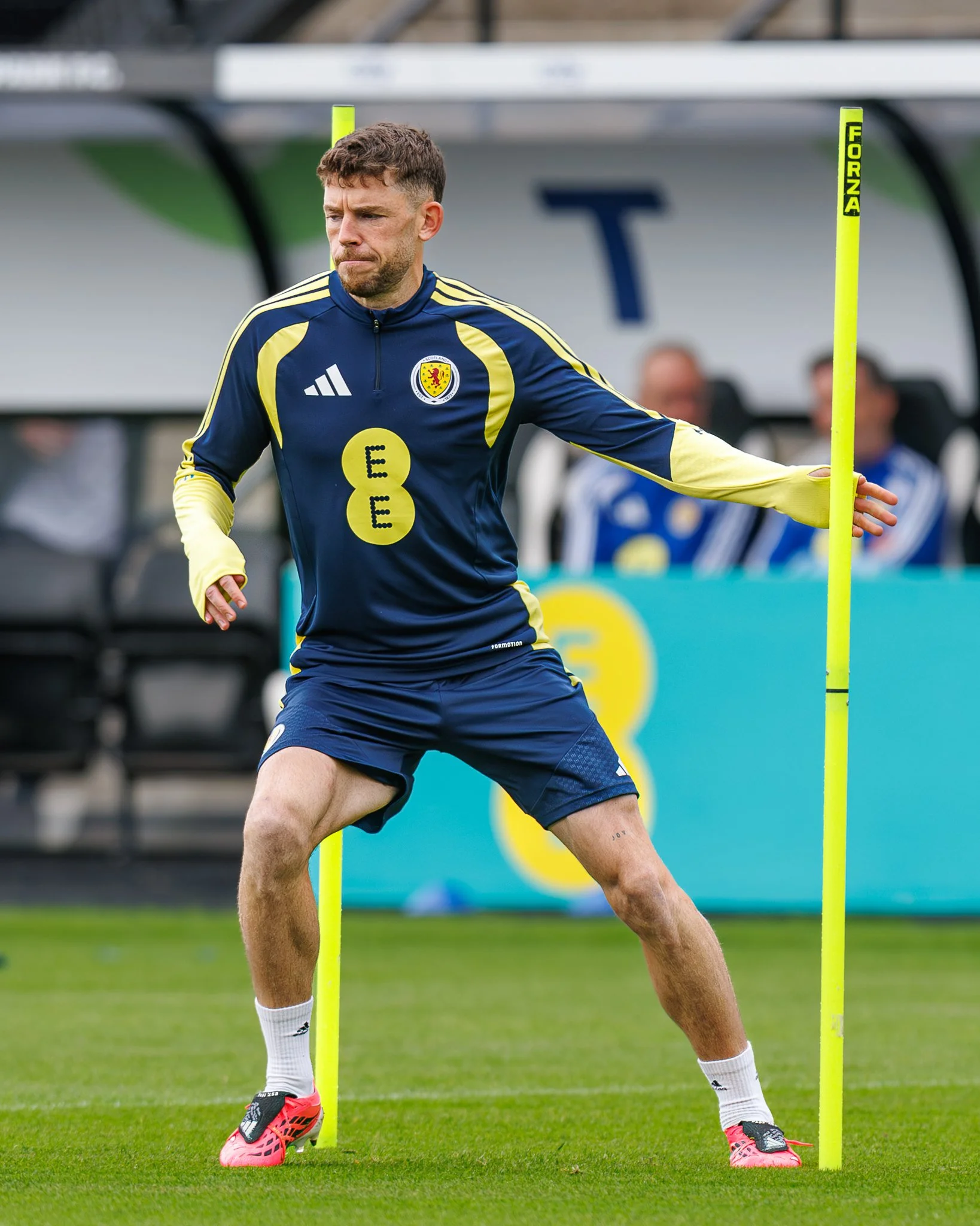 scotland-md1-6.jpg