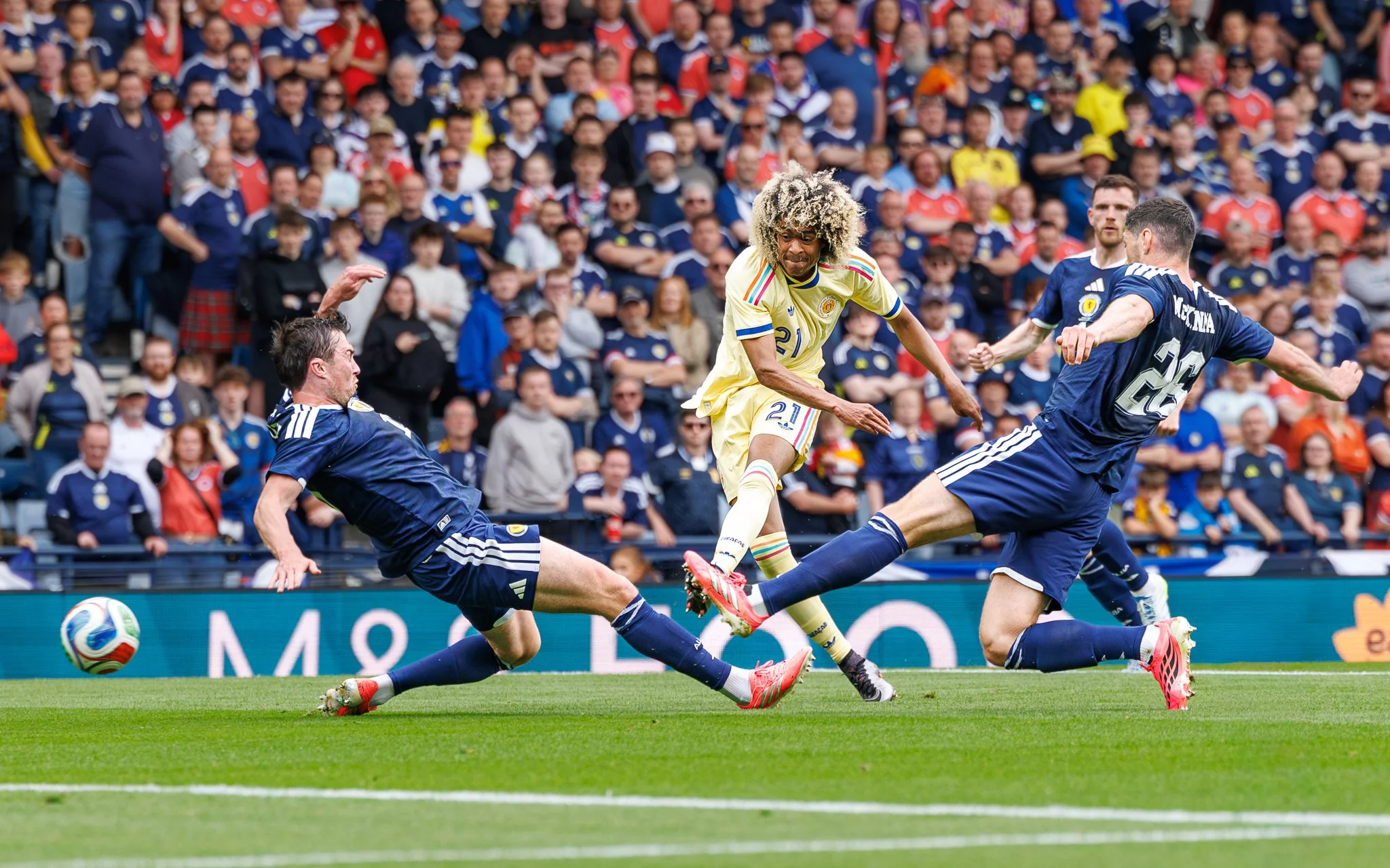 SCOVCUR-6.jpg