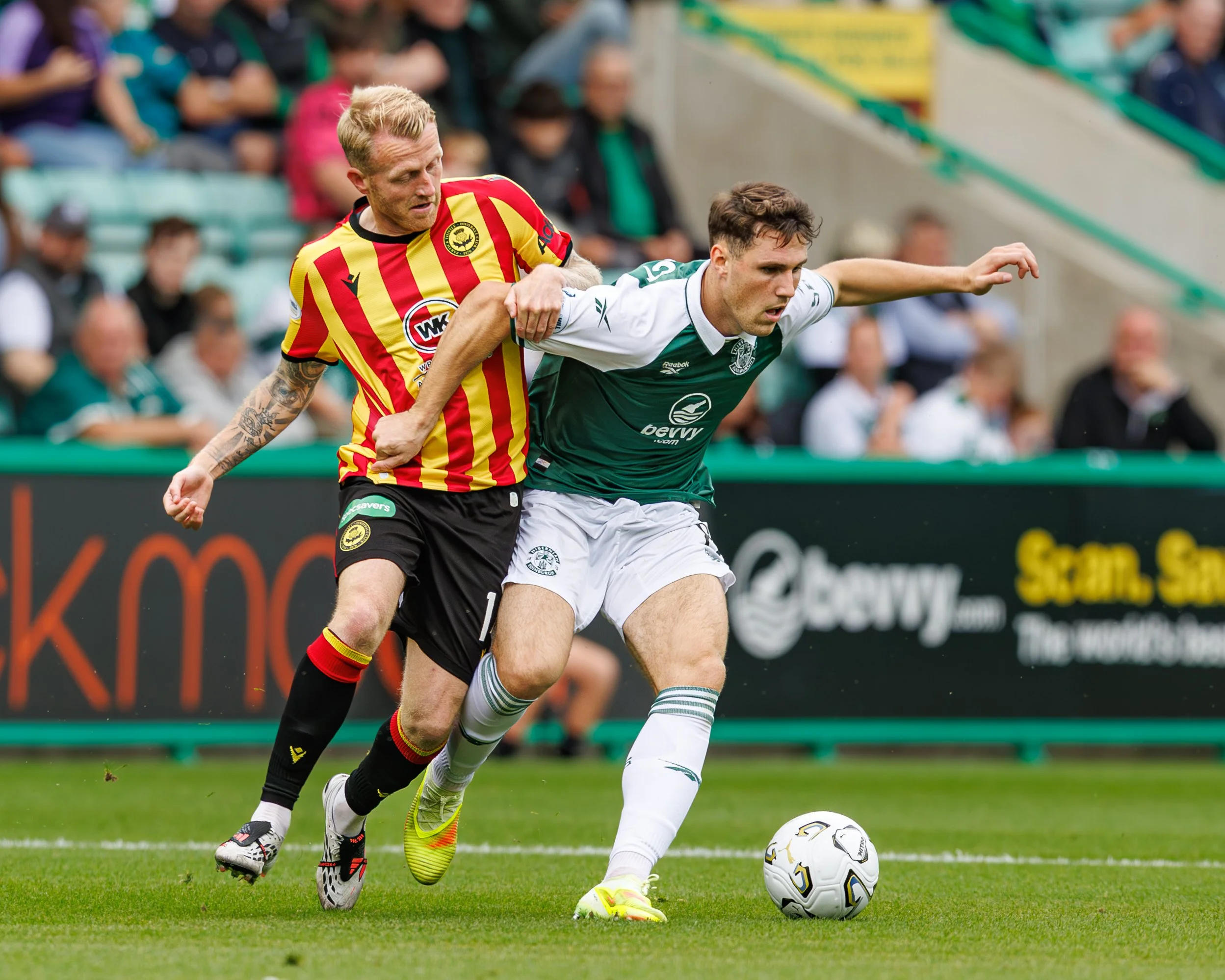 hibvparfulll-5.jpg