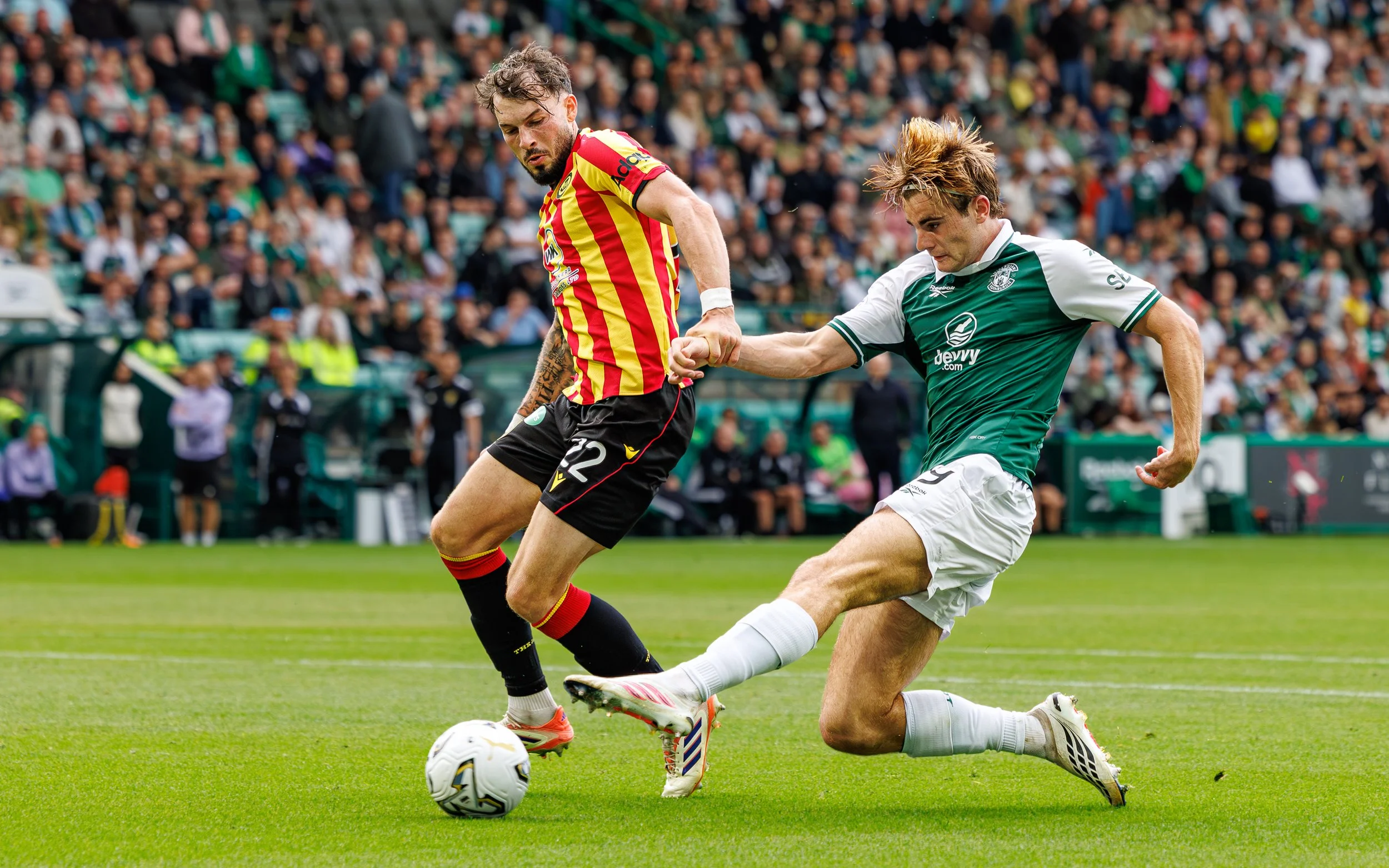 hibvparfulll-3.jpg