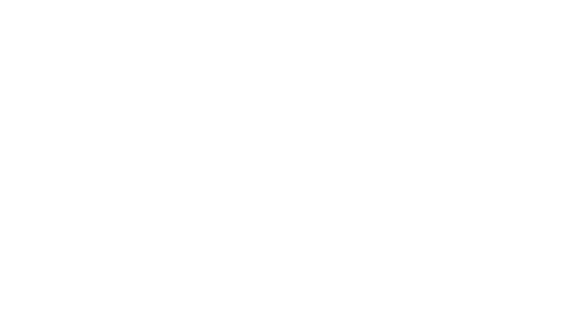 Valet Prestige
