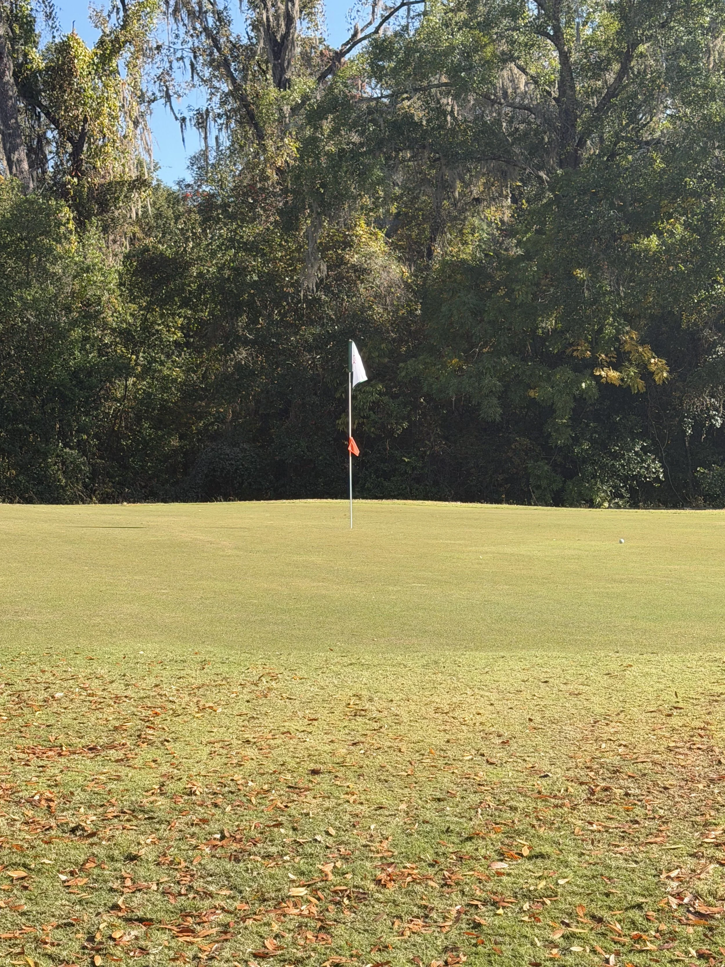 9-Hole Playing Lesson