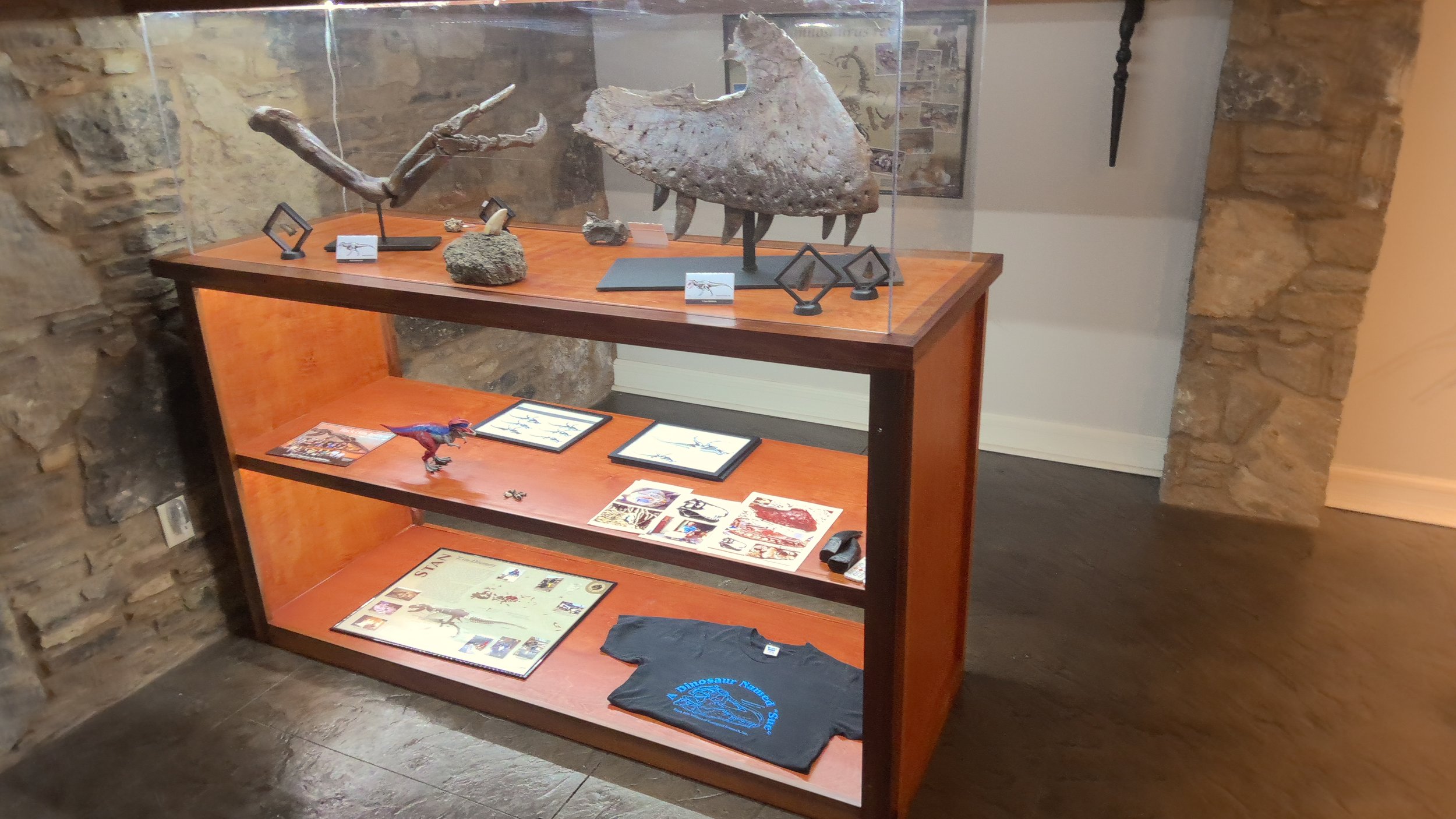Arm of Sue, the T. Rex + Real T. Rex Maxilla