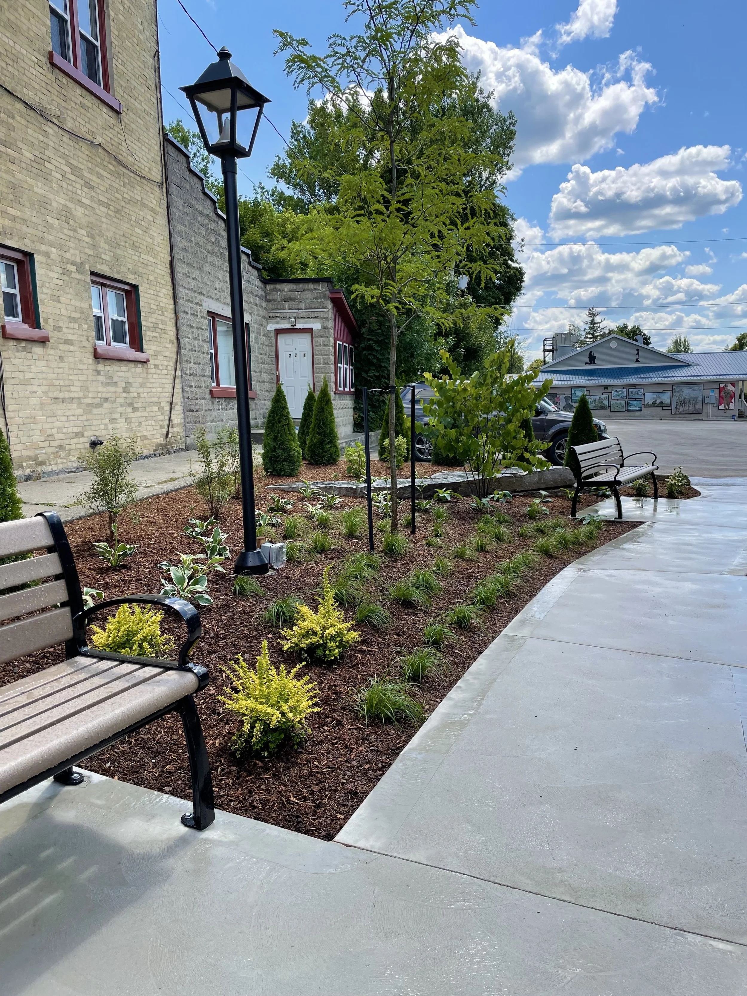 Sidewalk lined with garden beds containing small bushes and plants, a park bench, a black lamppost, a building with a door and windows, a parking lot with cars, trees, and a blue sky with scattered clouds.