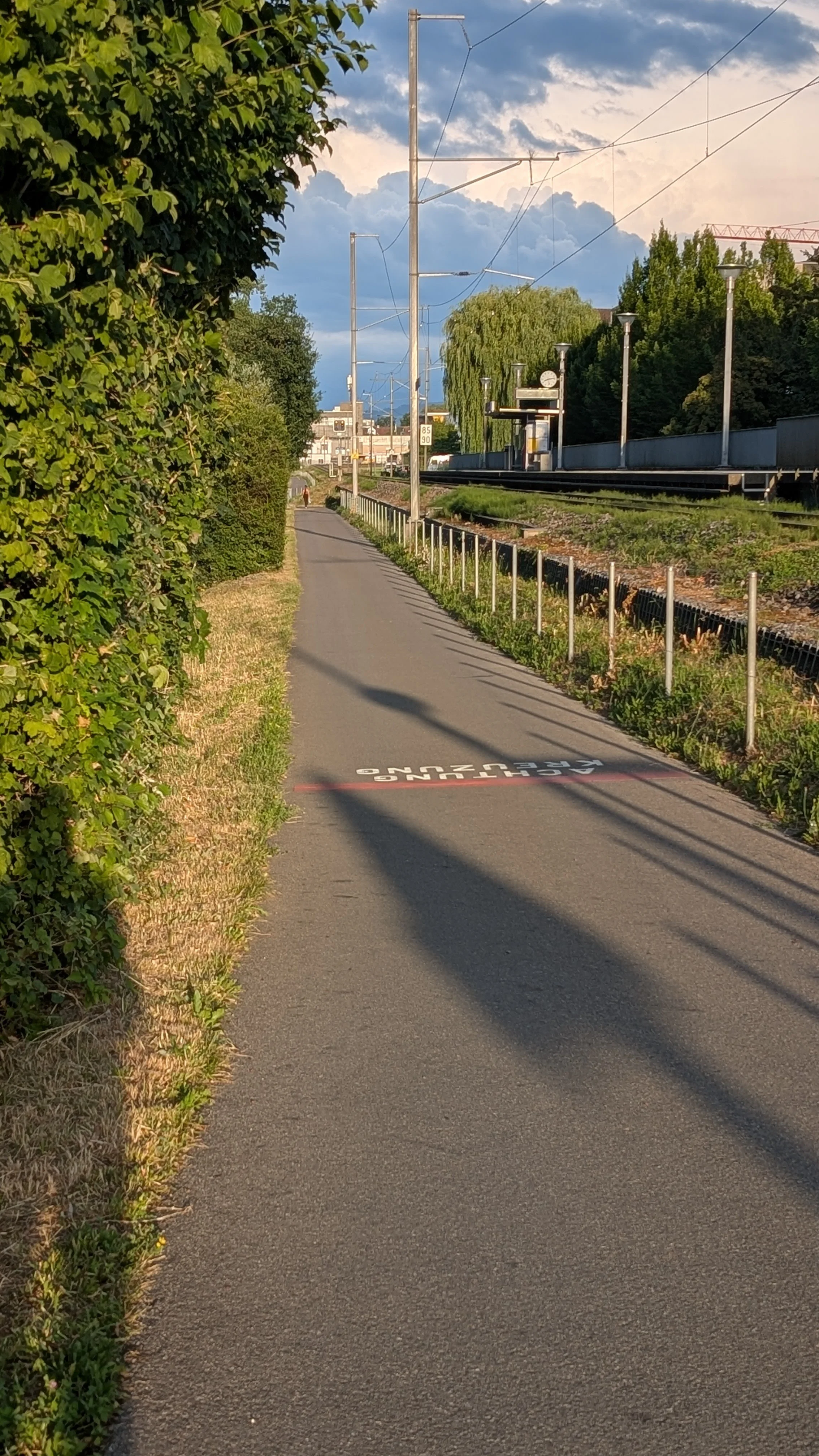 1000037395.jpg