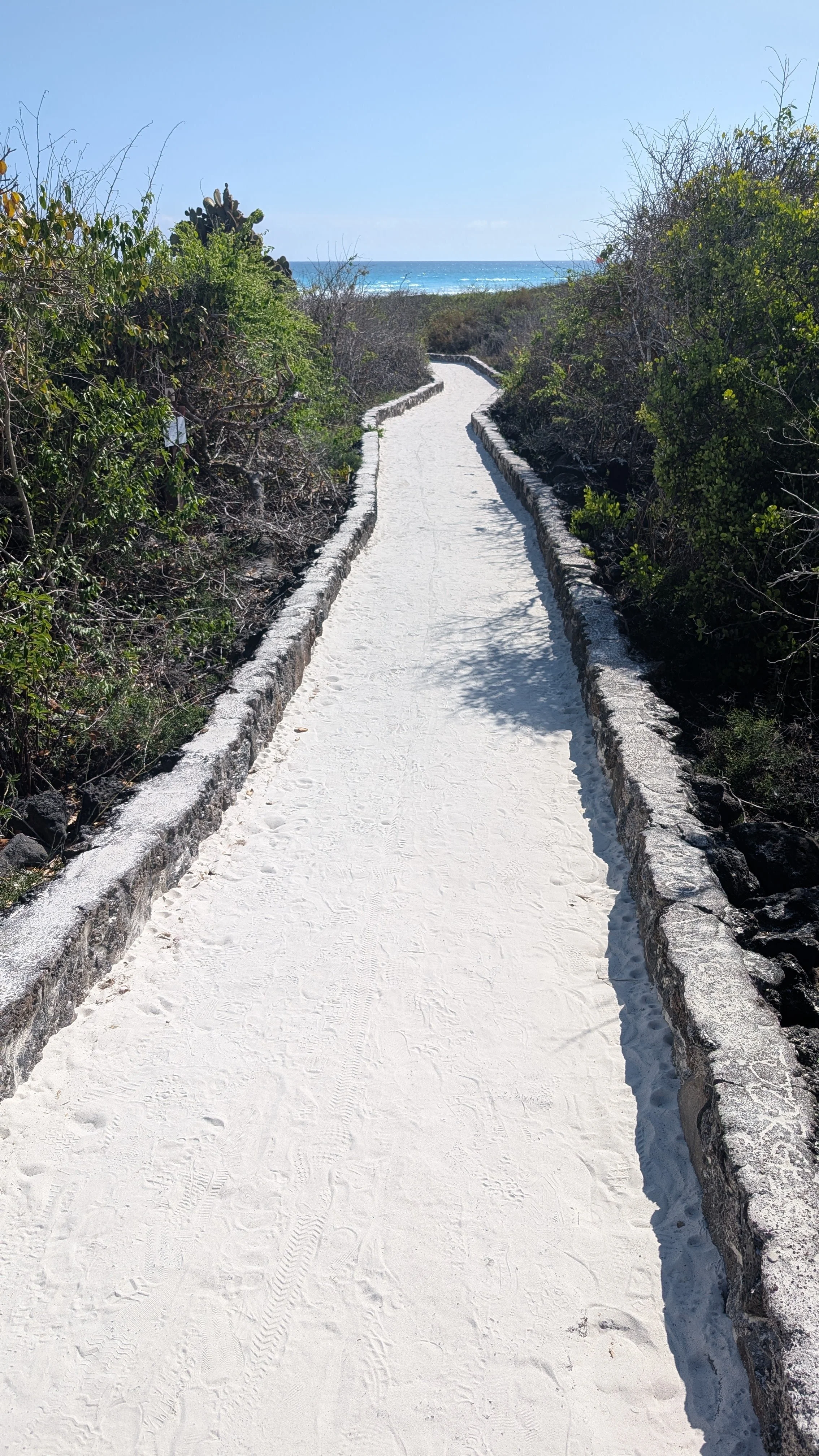 Galapagos, Ecuador. A sandy walkway bordered by stone walls on both sides leads toward the beach with the ocean and clear blue sky in the background.
