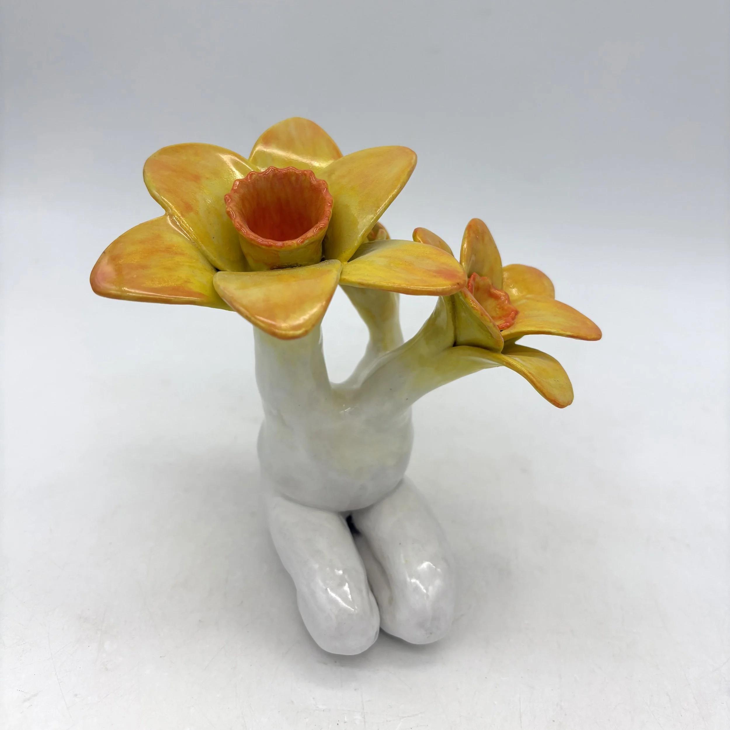 Daffodil head