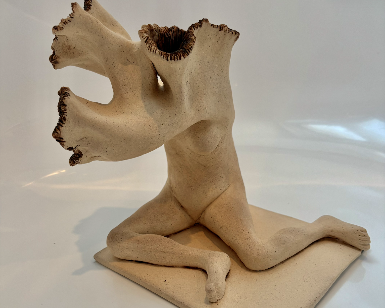 Twisted tree. $200. SOLD