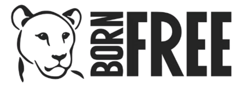 Logo for a dog rescue organization called 'Born Free,' featuring a black panther head illustration and bold black and gray text.