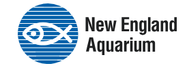New England Aquarium logo with a stylized fish inside a blue circle.