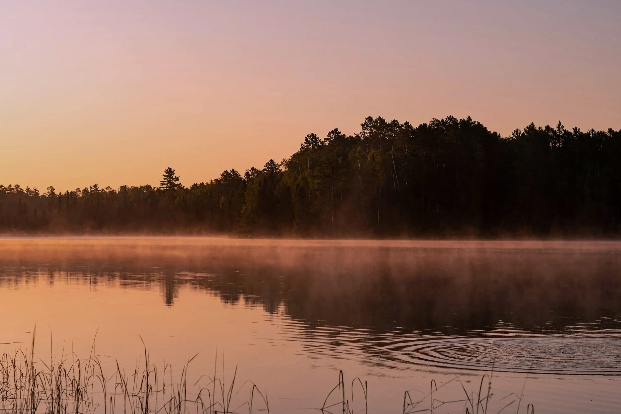 Serene lake scene at dusk, with calm water reflecting trees and a soft pastel sky.