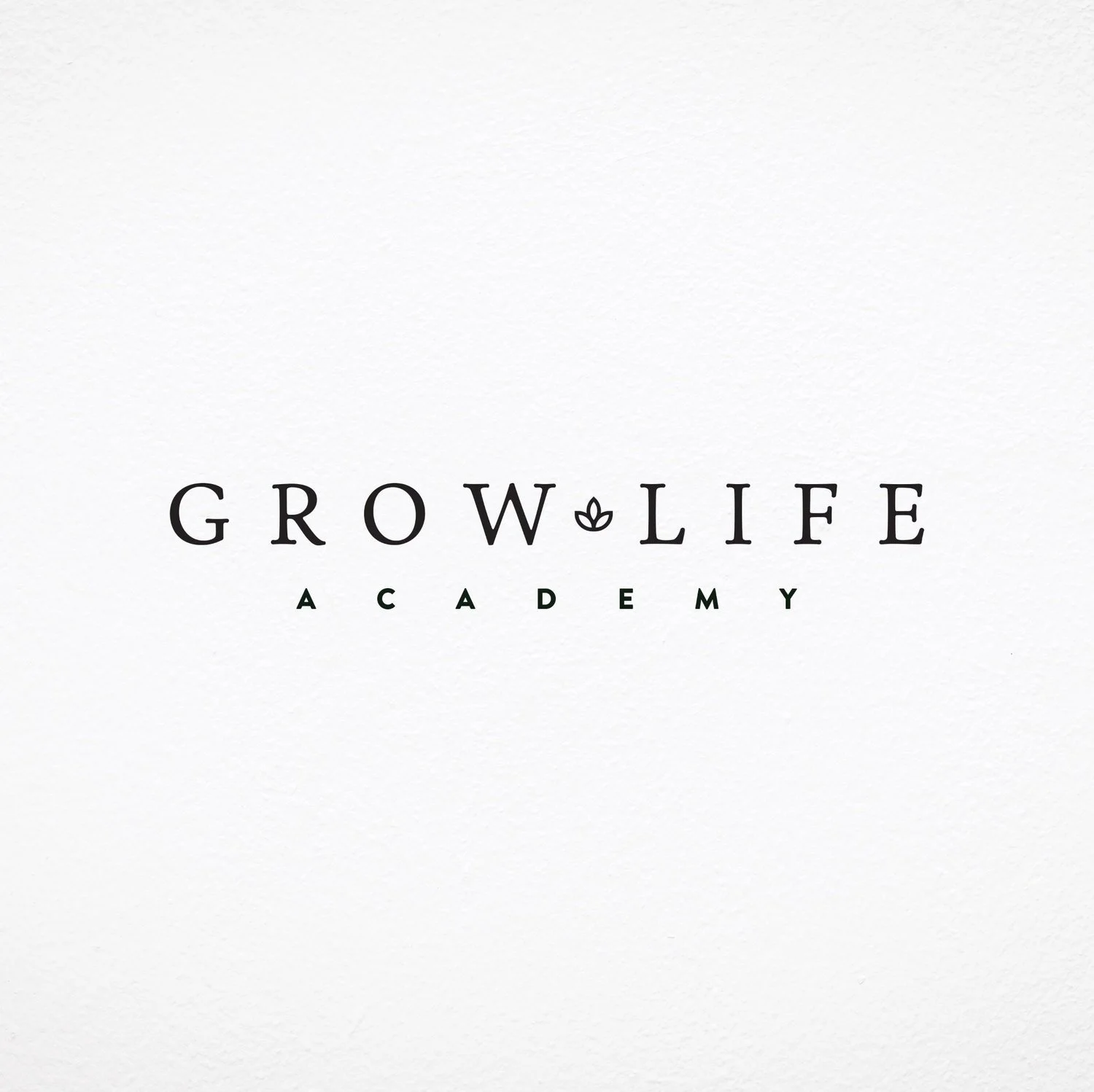 Life Coaching Certificate Class