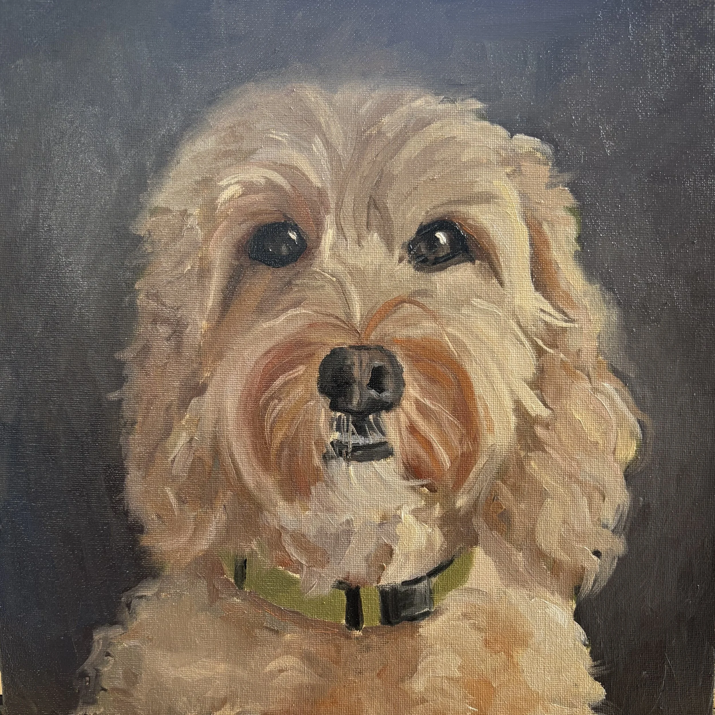 DOG