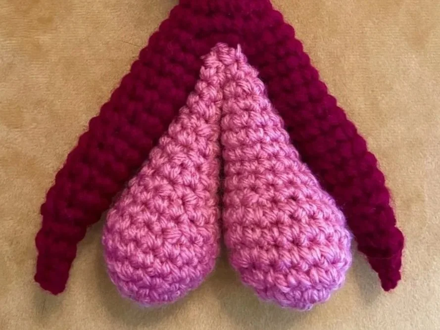 Introducing: The Clitoris