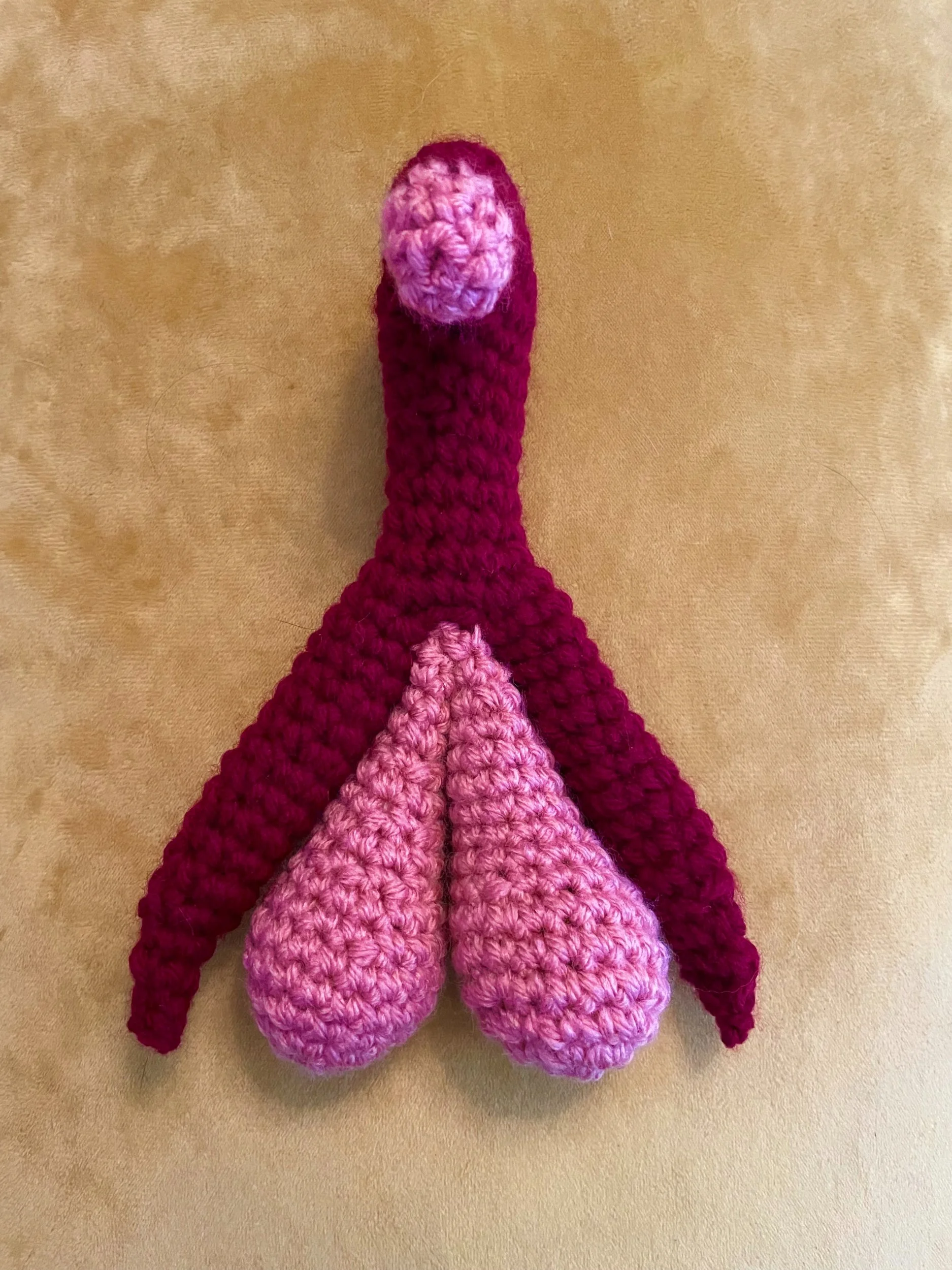 Crocheted Clitoral Complex