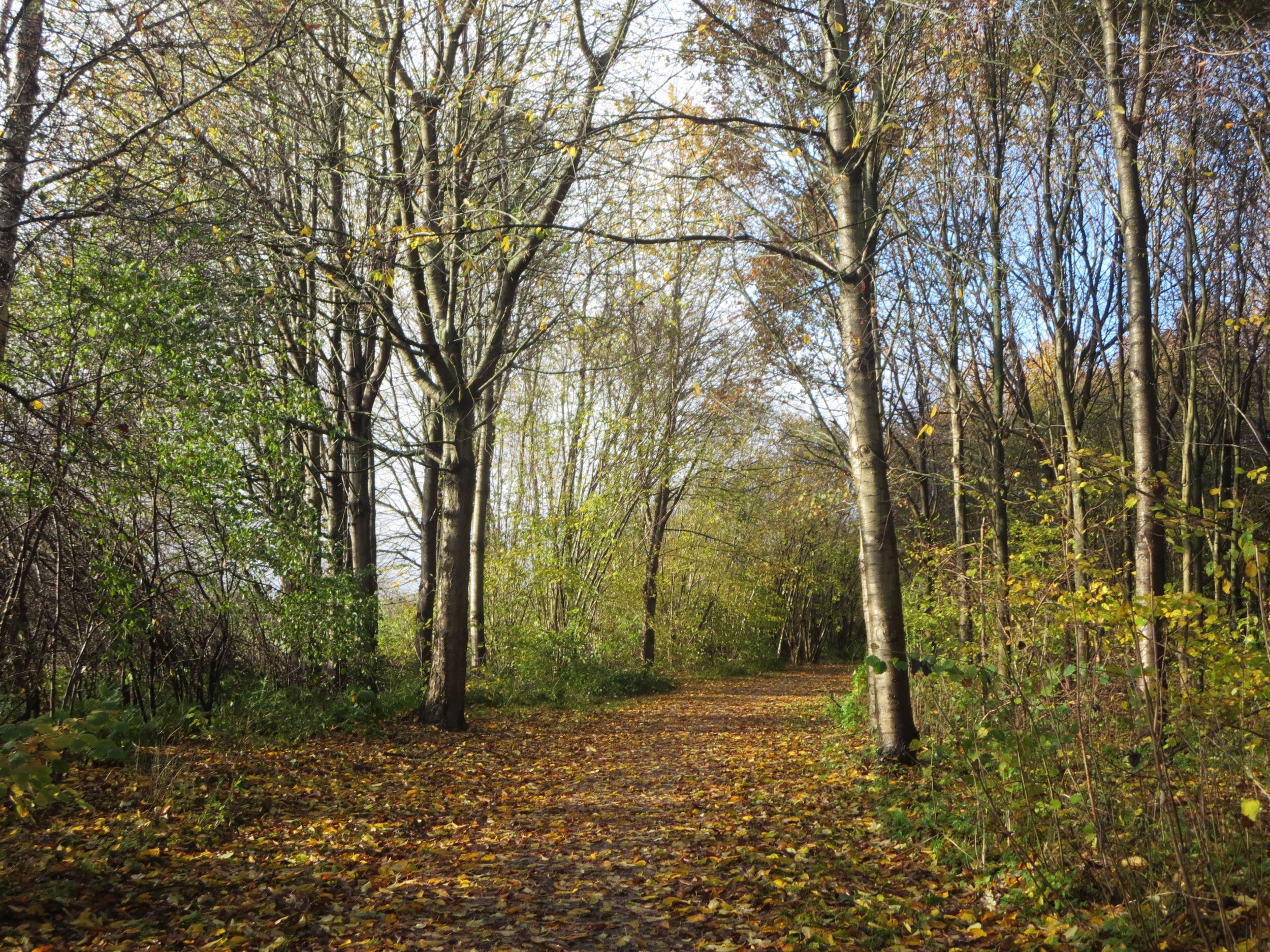 Teaching qi gong and living fully in mind, body, and spirit