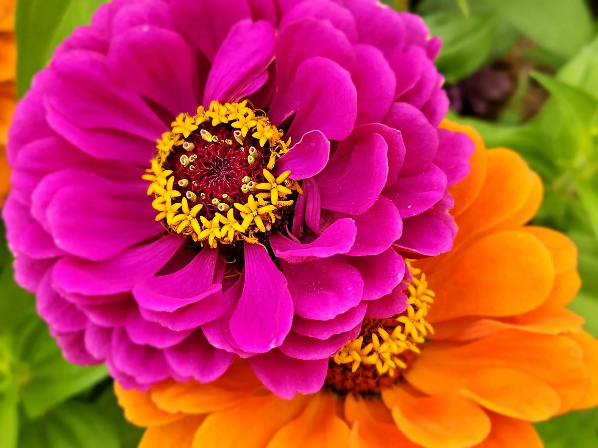 Savoring Each Precious Moment&nbsp;&nbsp;