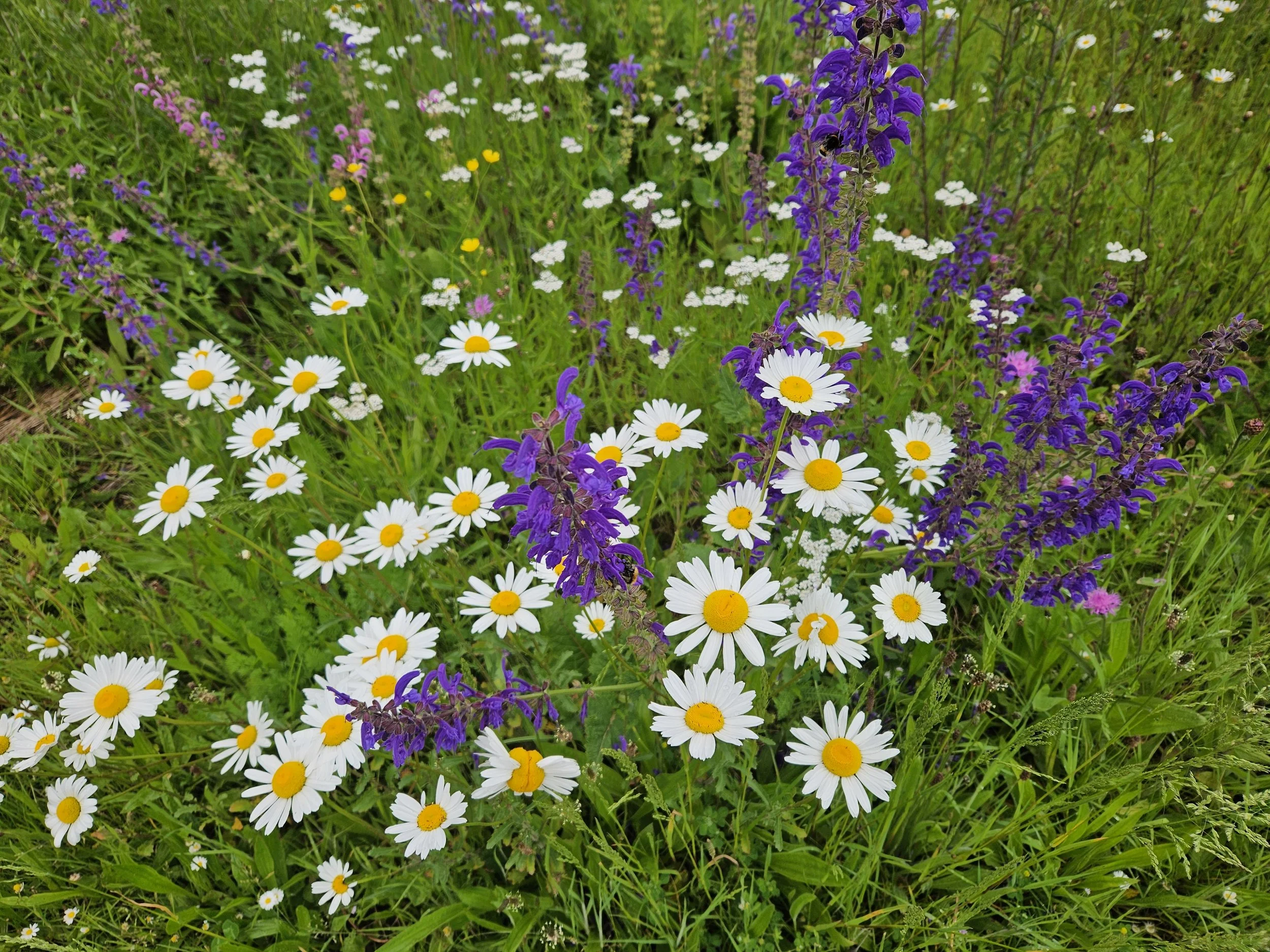 The Gift of Spiritual Direction: Appreciating Each Moment’s Fullness, As It Unfolds