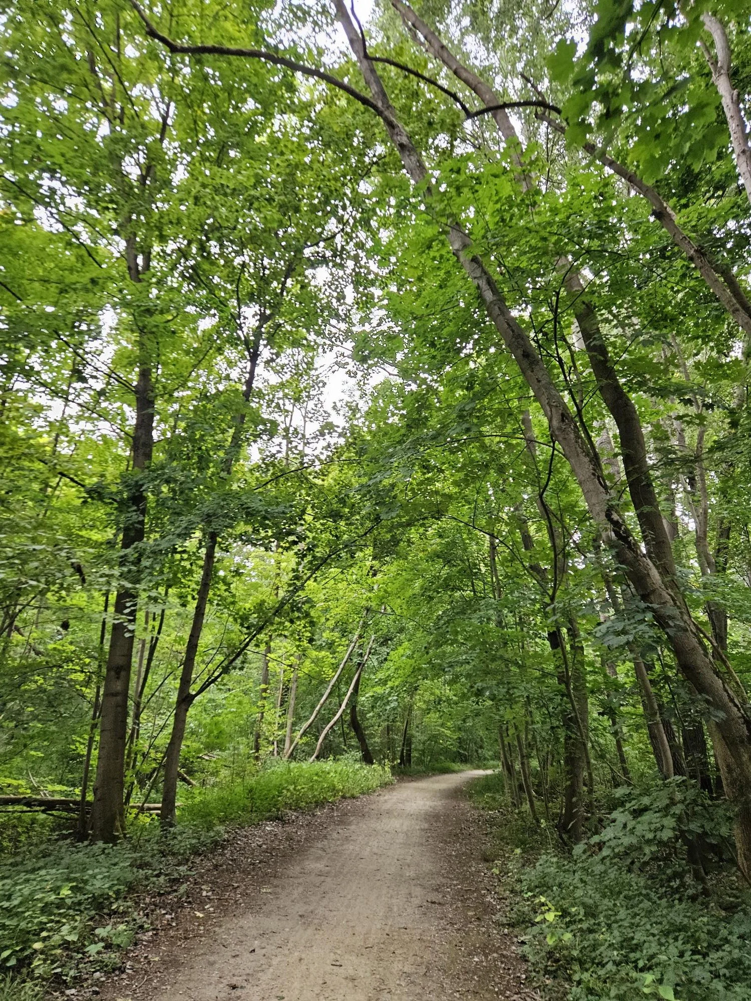 Helping Others Navigate Life’s Decisions