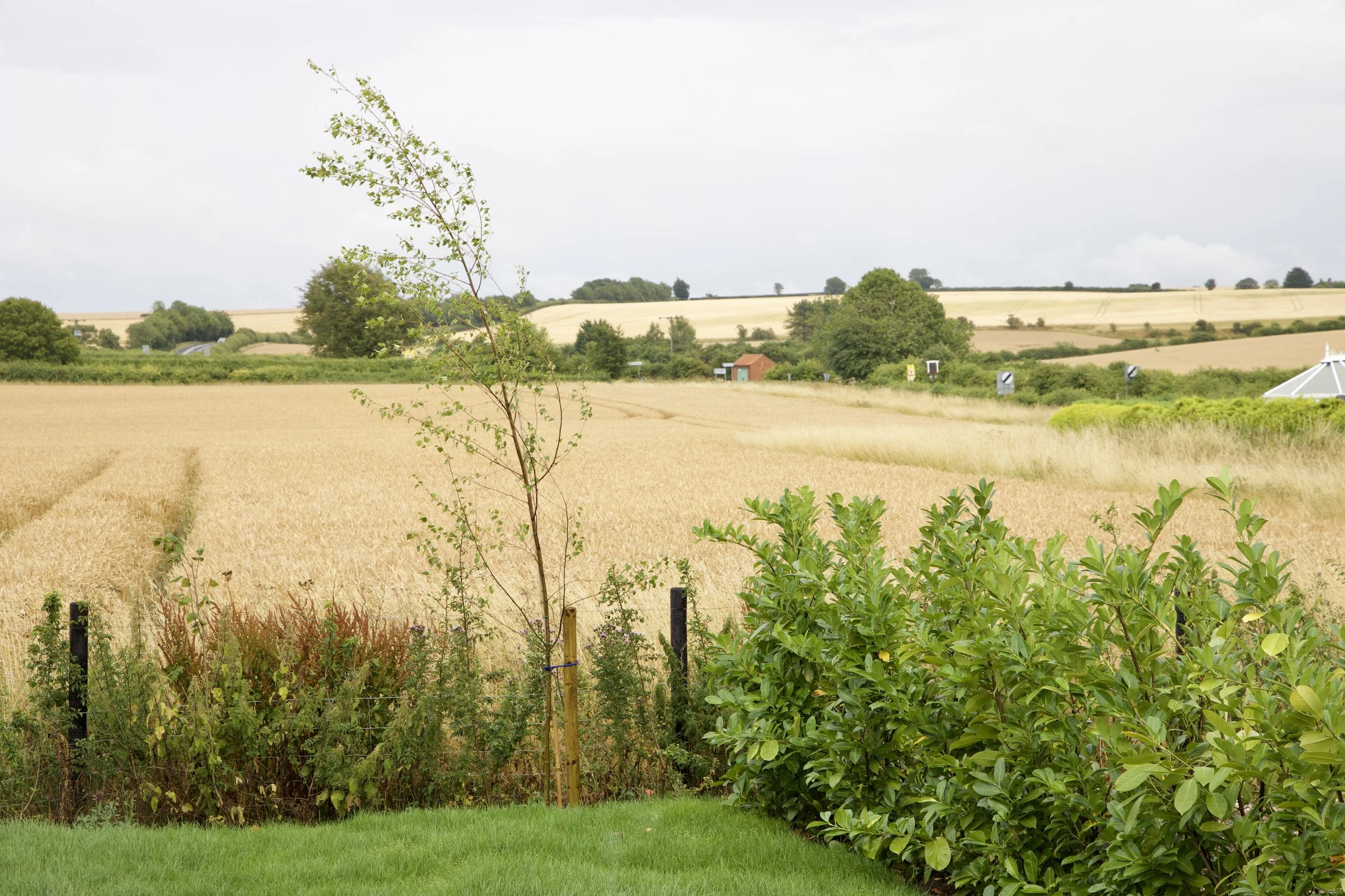 lifestyle 4a harbur h3 garden view.jpeg