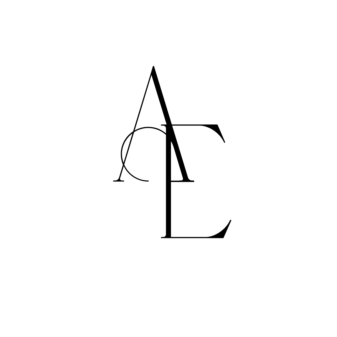 Avery Elise Photography