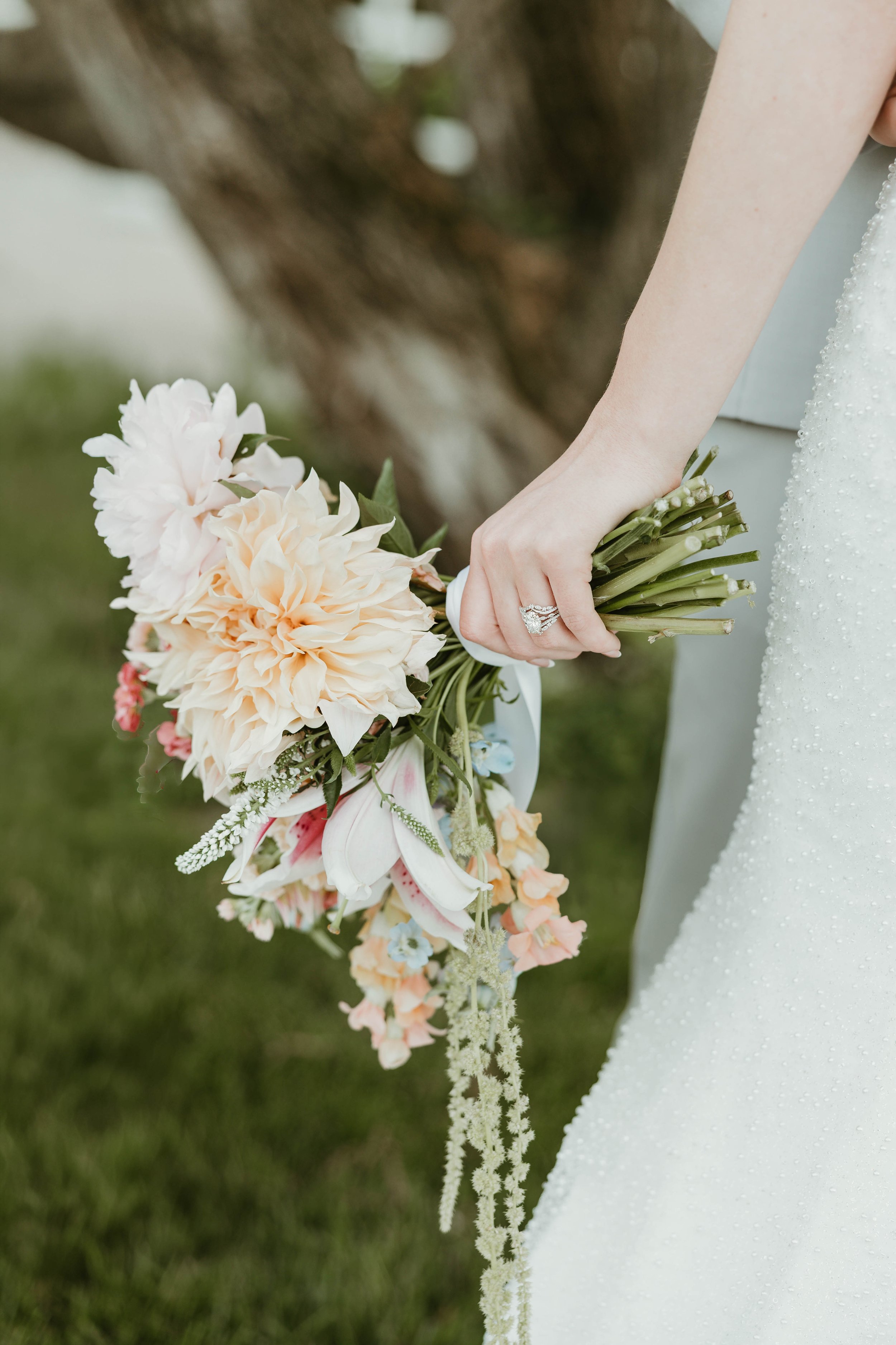 806A9731-Edit.jpg