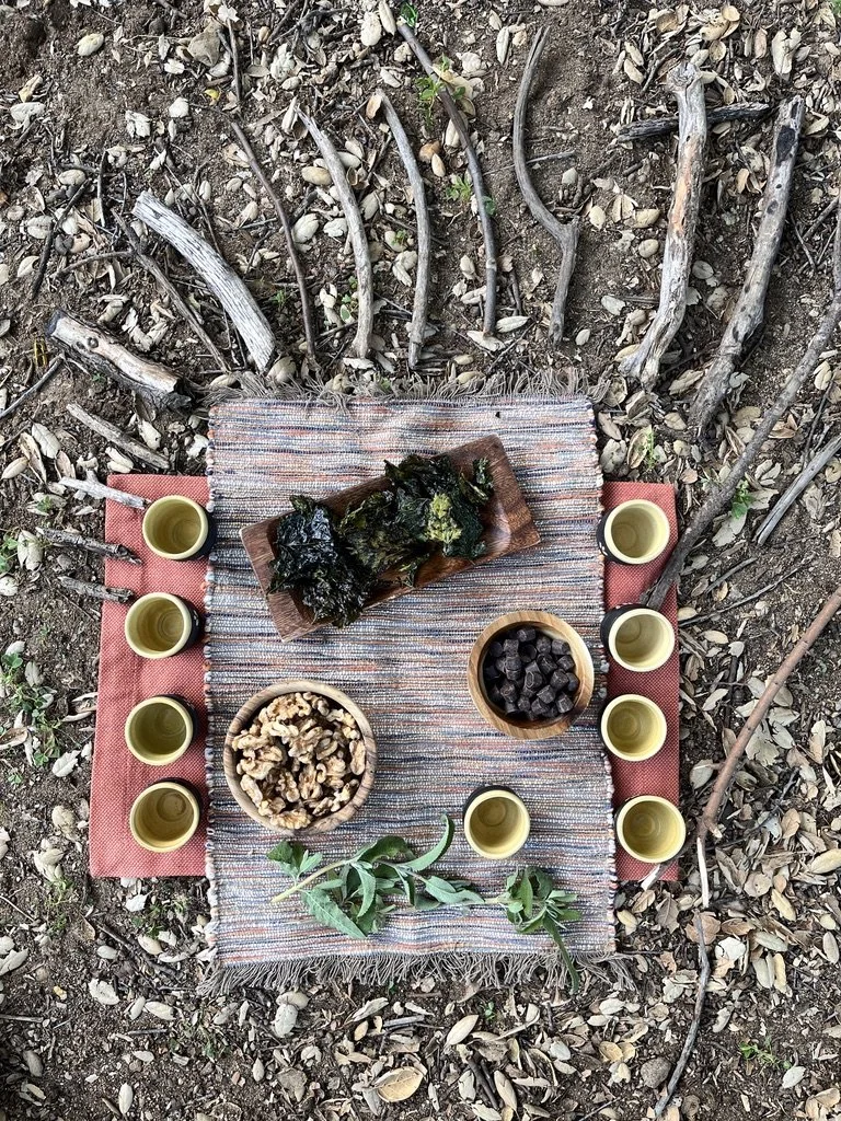 A rustic outdoor snack setup with a striped cloth on the ground surrounded by sticks and dry leaves. On the cloth, there are four small cups filled with a greenish drink, a wooden plate with dark seaweed, a bowl of walnuts, and a bowl of dried fruit or berries. A small green leafy branch is also part of the arrangement.