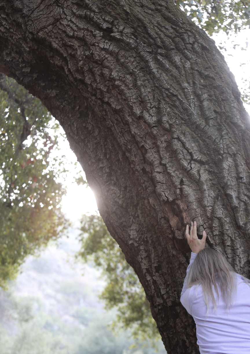 A woman with long gray hair wearing a light-colored shirt touches the large trunk of a tree with rough bark, outdoors in a park or forest setting.