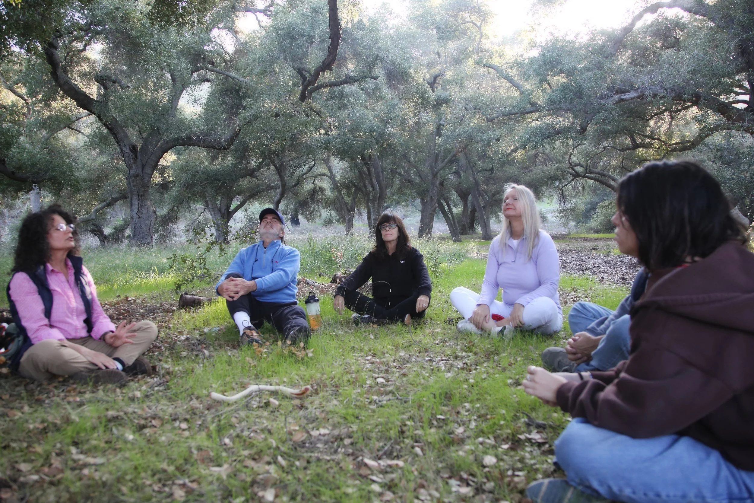Group of people sitting outdoors in a circle on the grass beneath trees with dense foliage, appearing to meditate or engage in a peaceful activity.