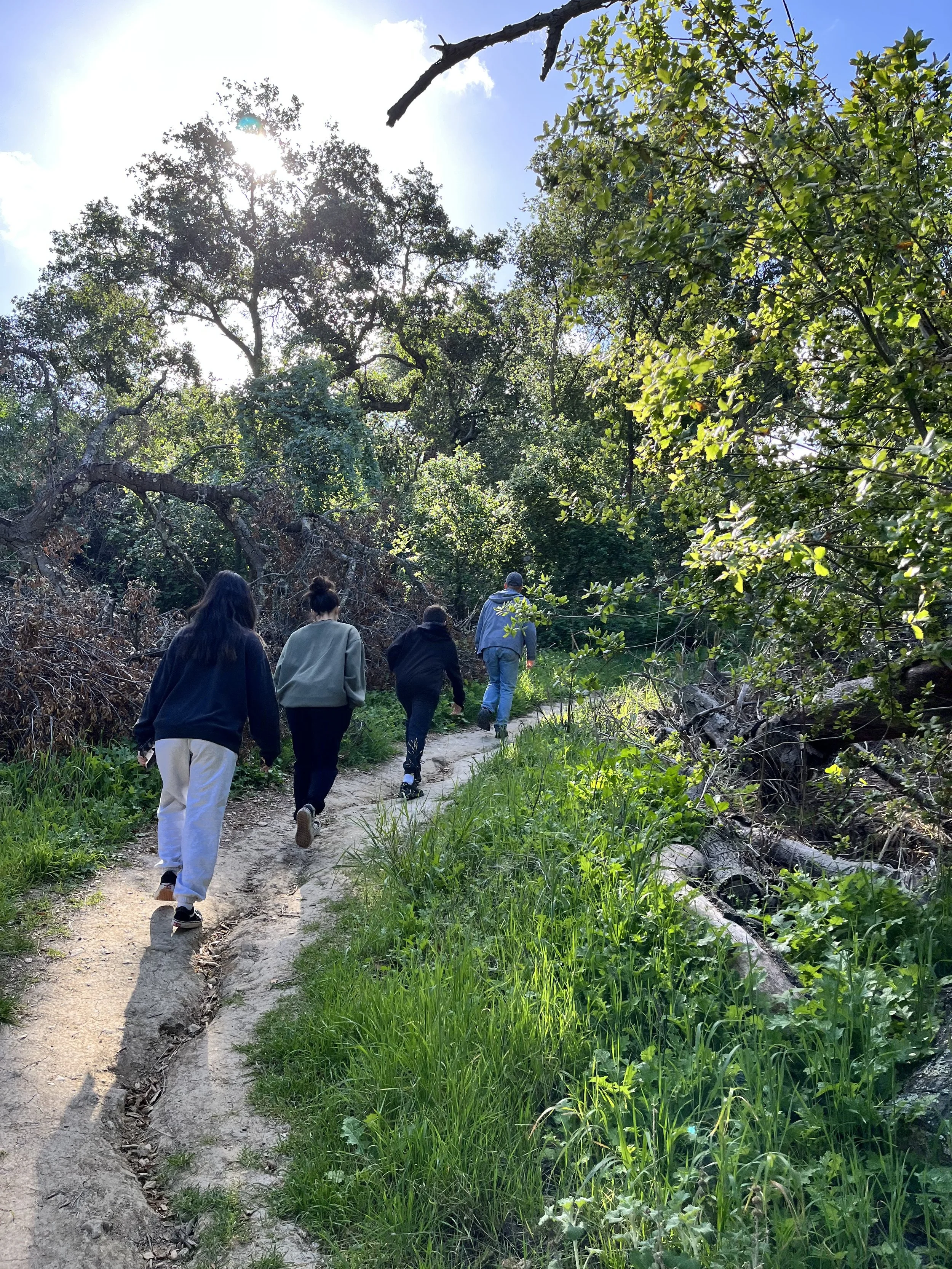 Group of five people hiking on a forest trail surrounded by green trees and grass, with sunlight filtering through the leaves, under a partly cloudy sky.