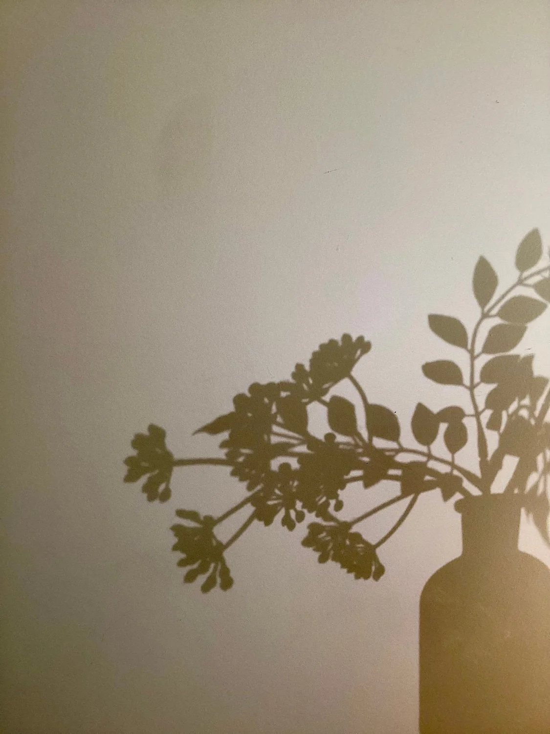 Shadow of a plant in a vase cast on a wall.