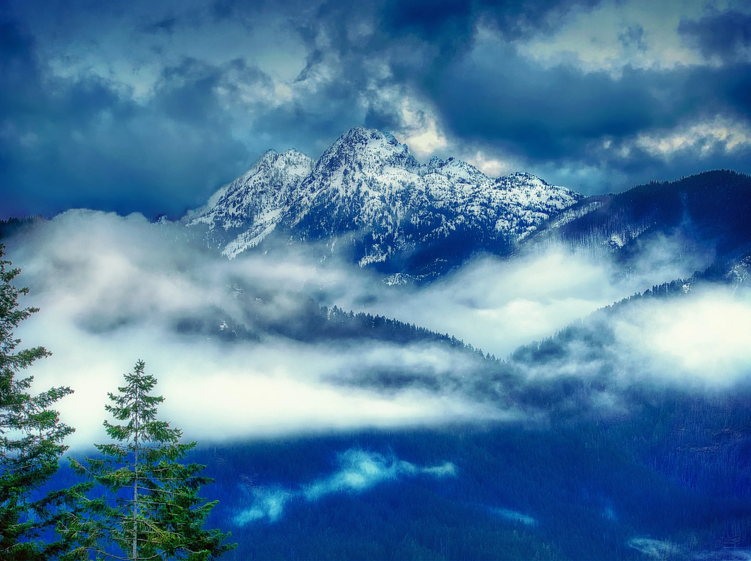 Fog Hug, Olympic Mountains