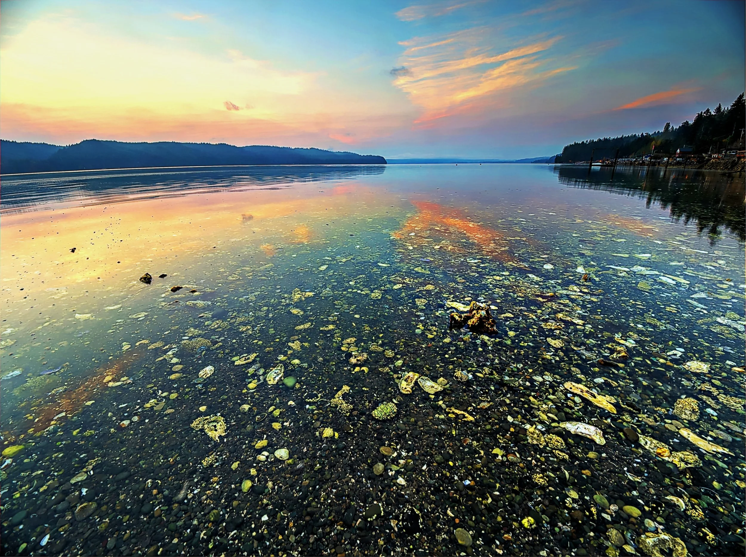 Clear Water Dawn, Hoodsport