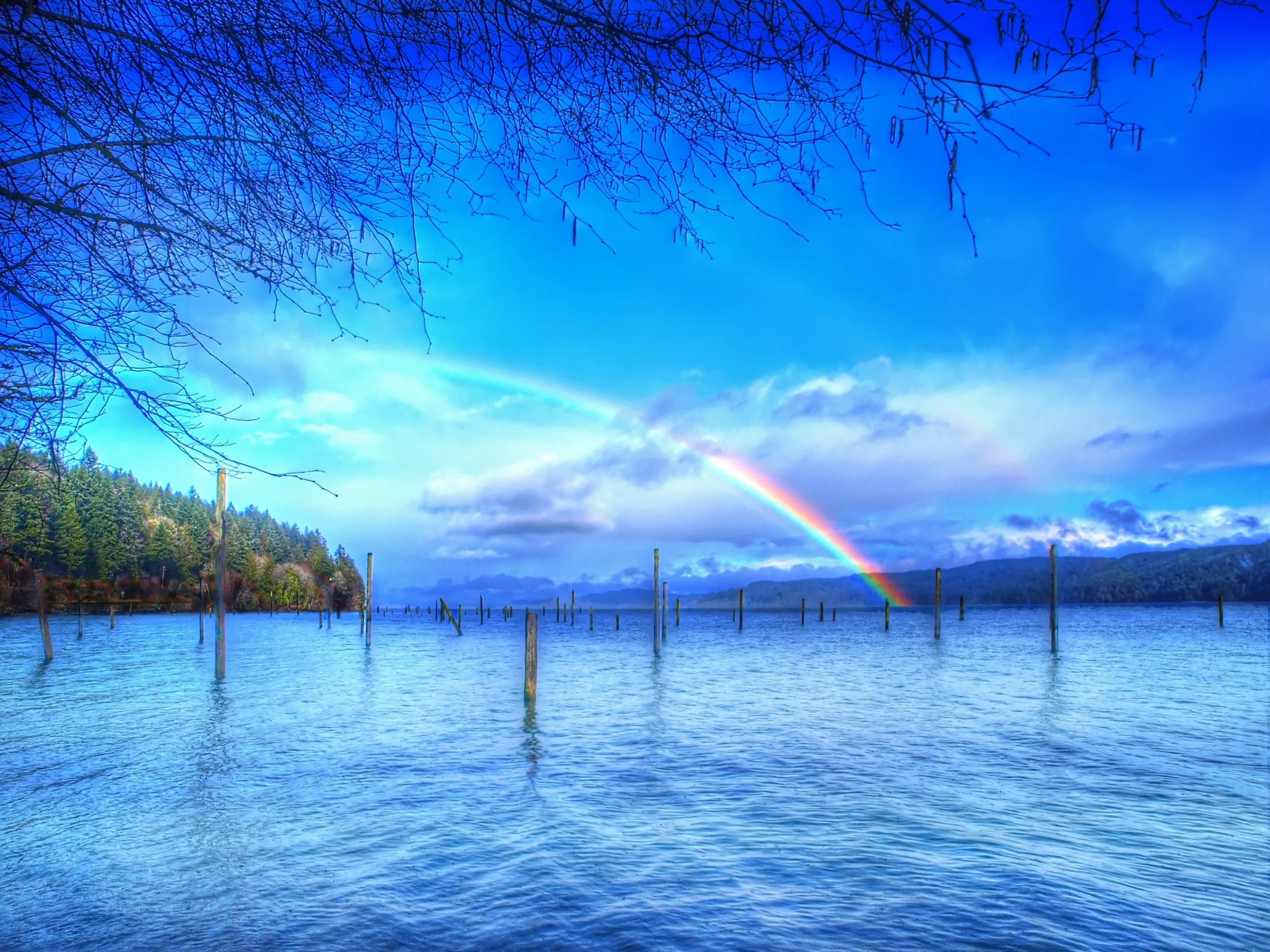 Jorstad Creek Rainbow