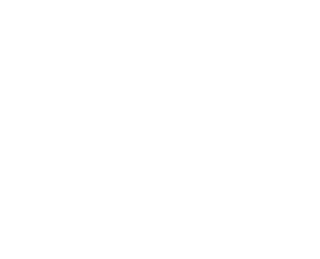 Black and white drawing of a molecule structure with interconnected atoms and bonds.
