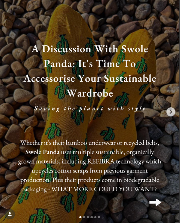 Instagram collaborative post graphic for the Swole Panda sustainable accessories brand editorial feature with @emmaburtonblog