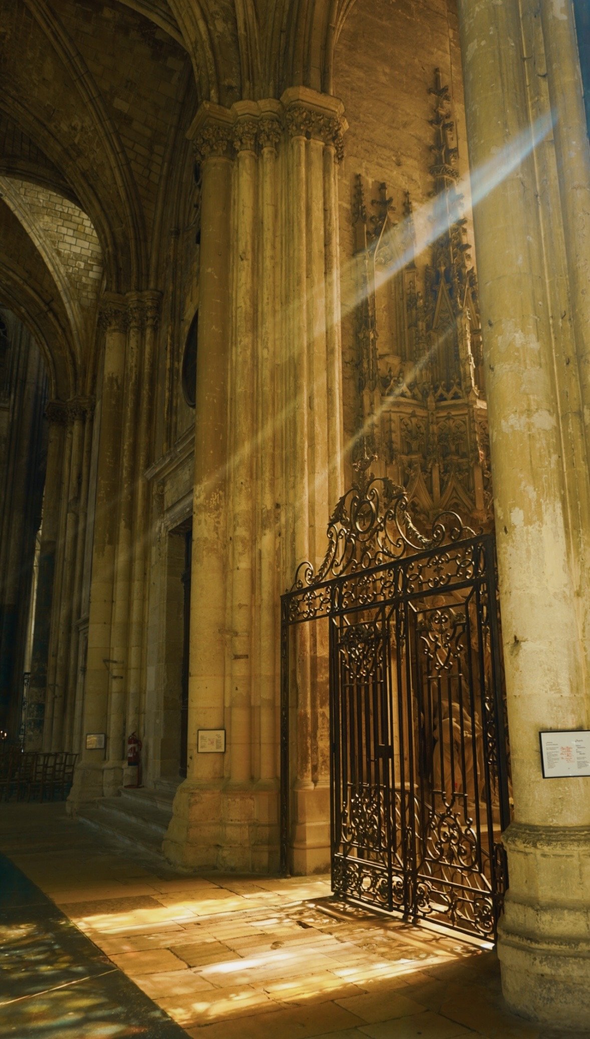 image00006.jpeg