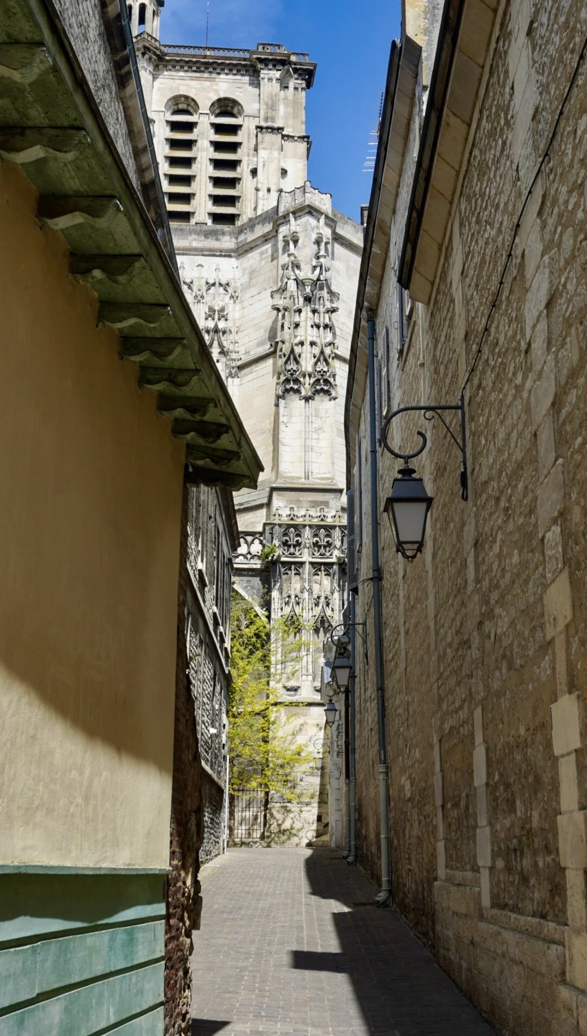 image00015.jpeg