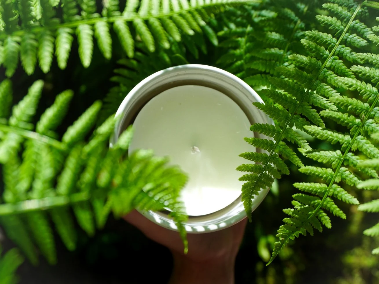 Restorative_Candle_Co_Botanical_Flatlay_Vertical.jpg