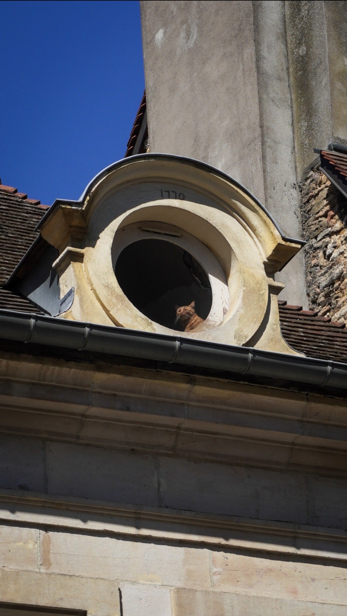 image00013.jpeg